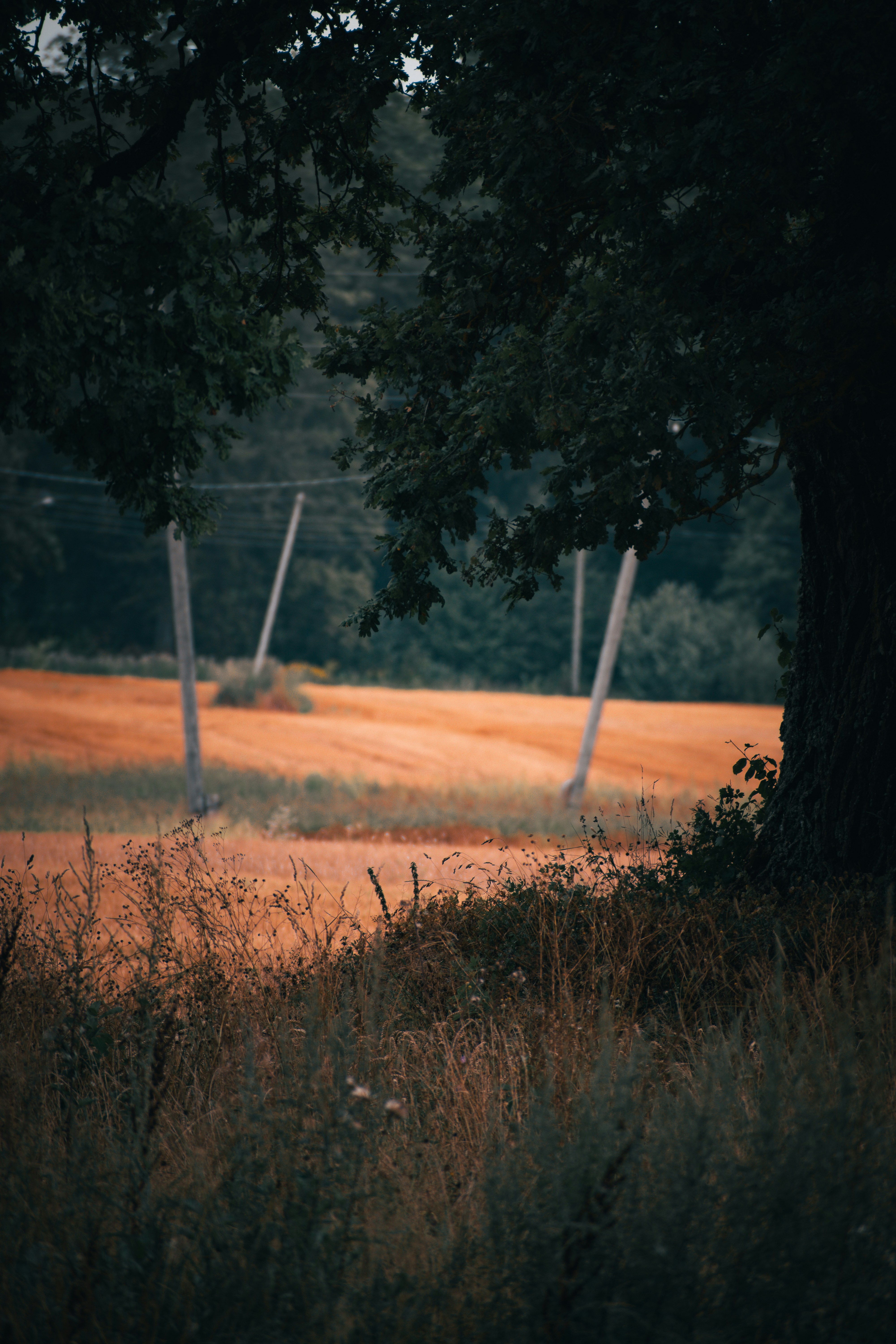 Photo by christina_kozak