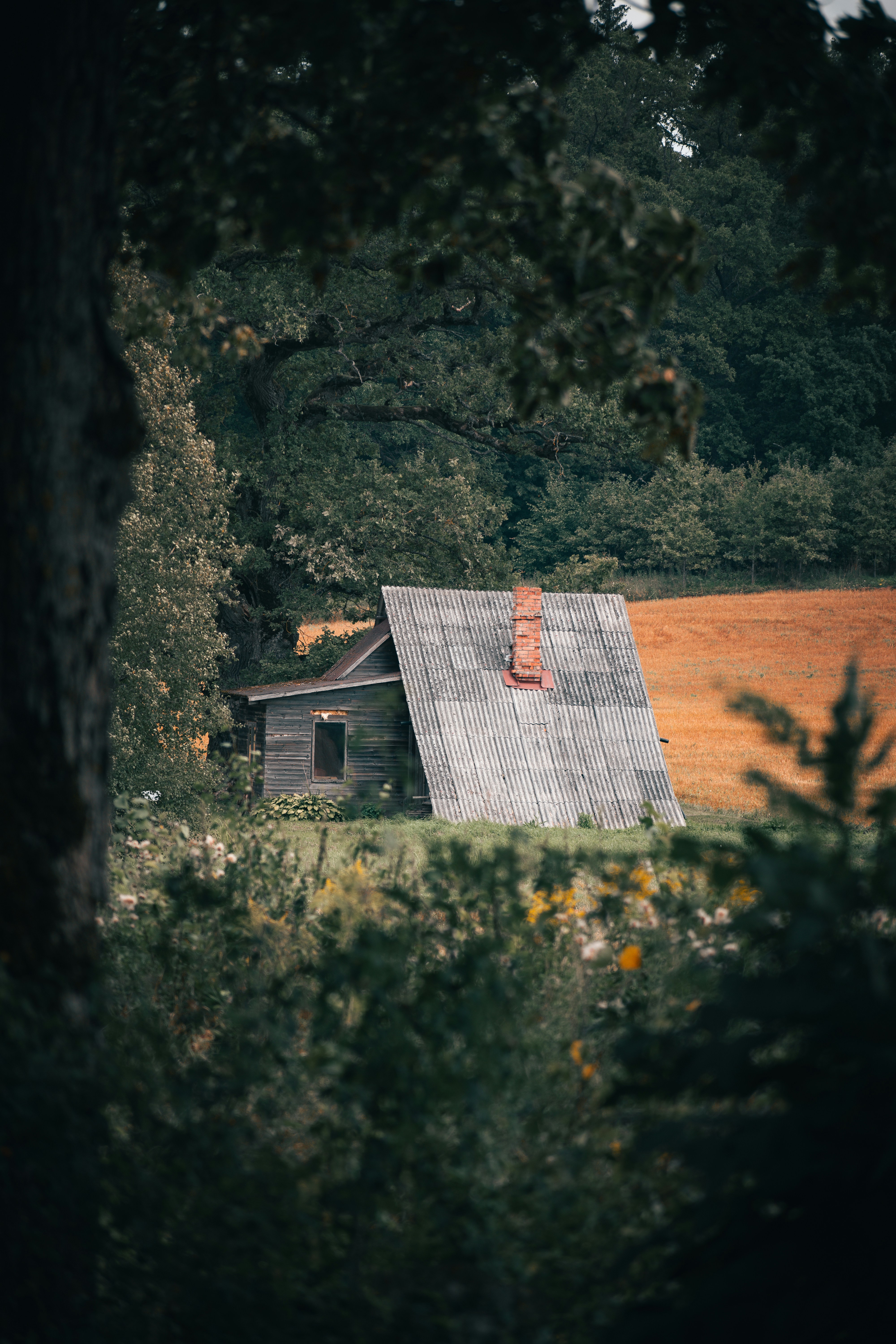 Photo by christina_kozak