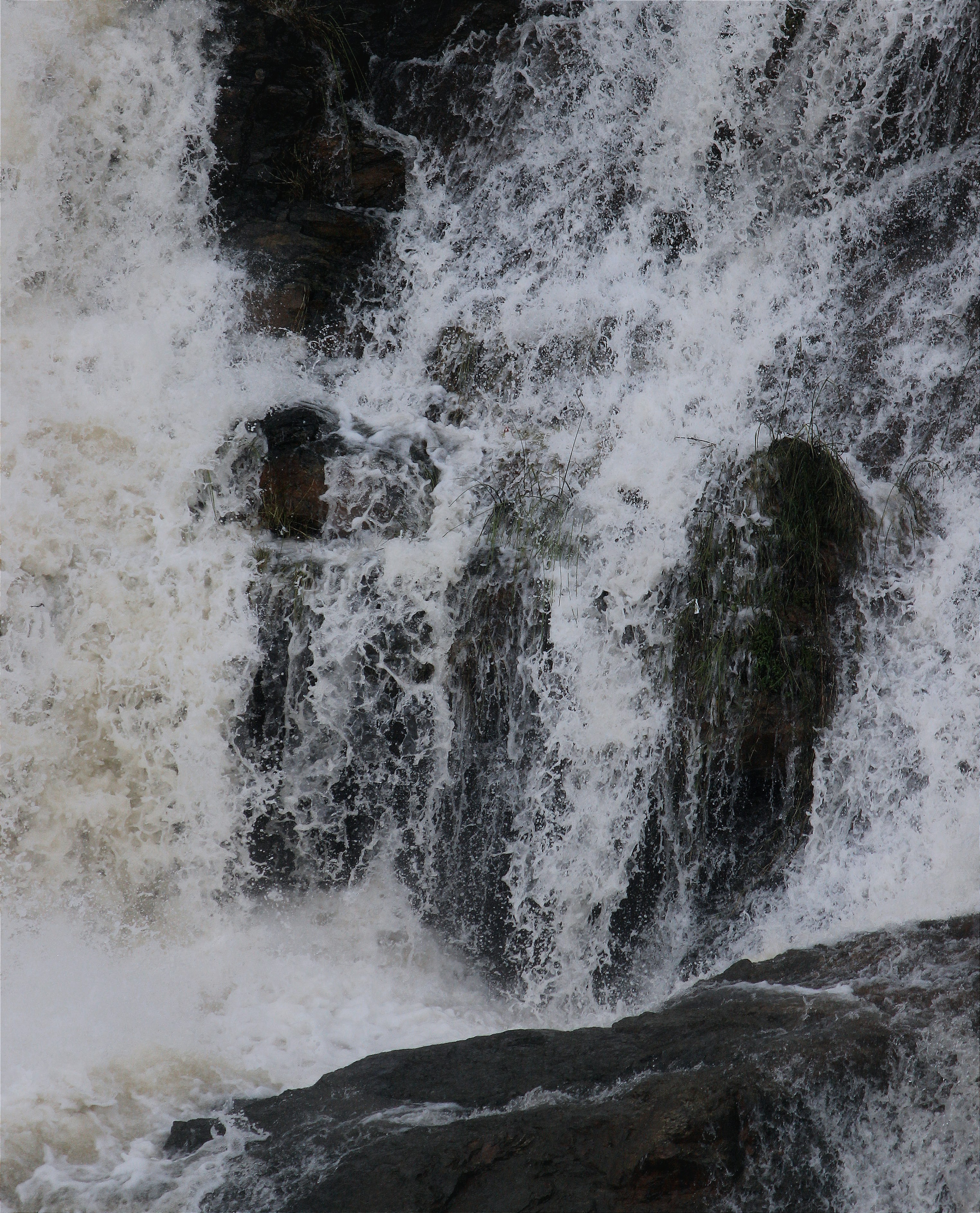 Photo by srijancm