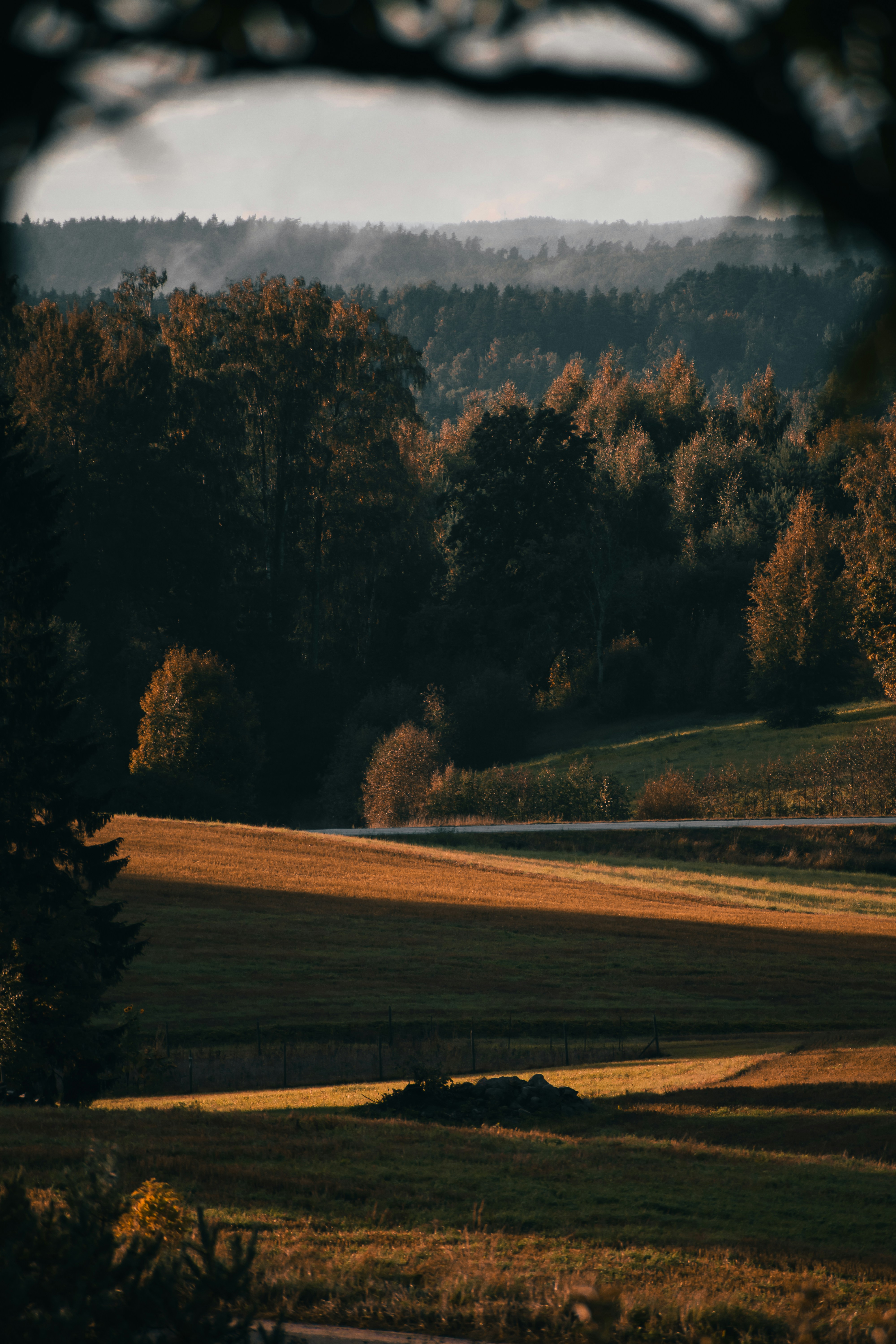 Photo by christina_kozak