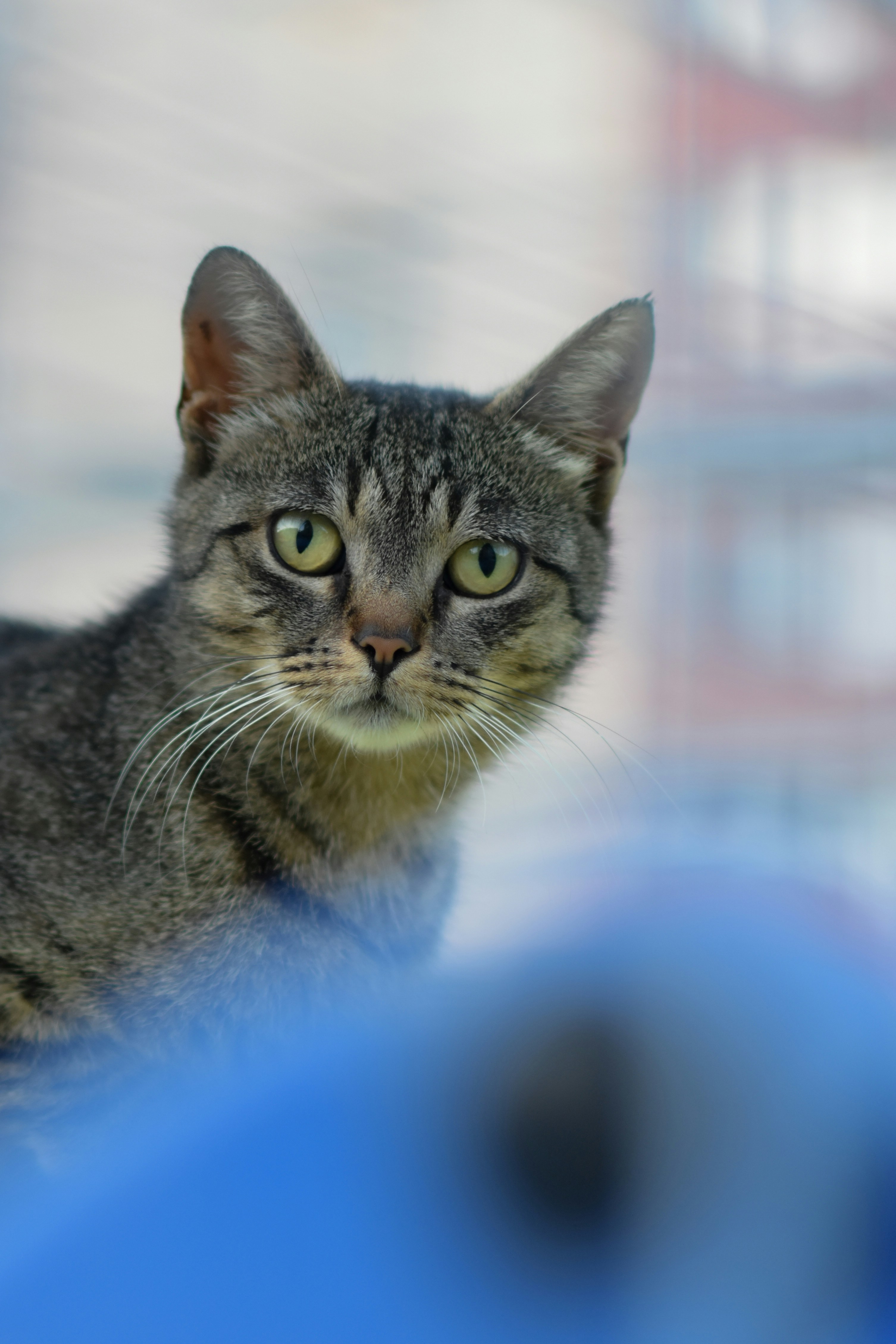 Photo by silverius89