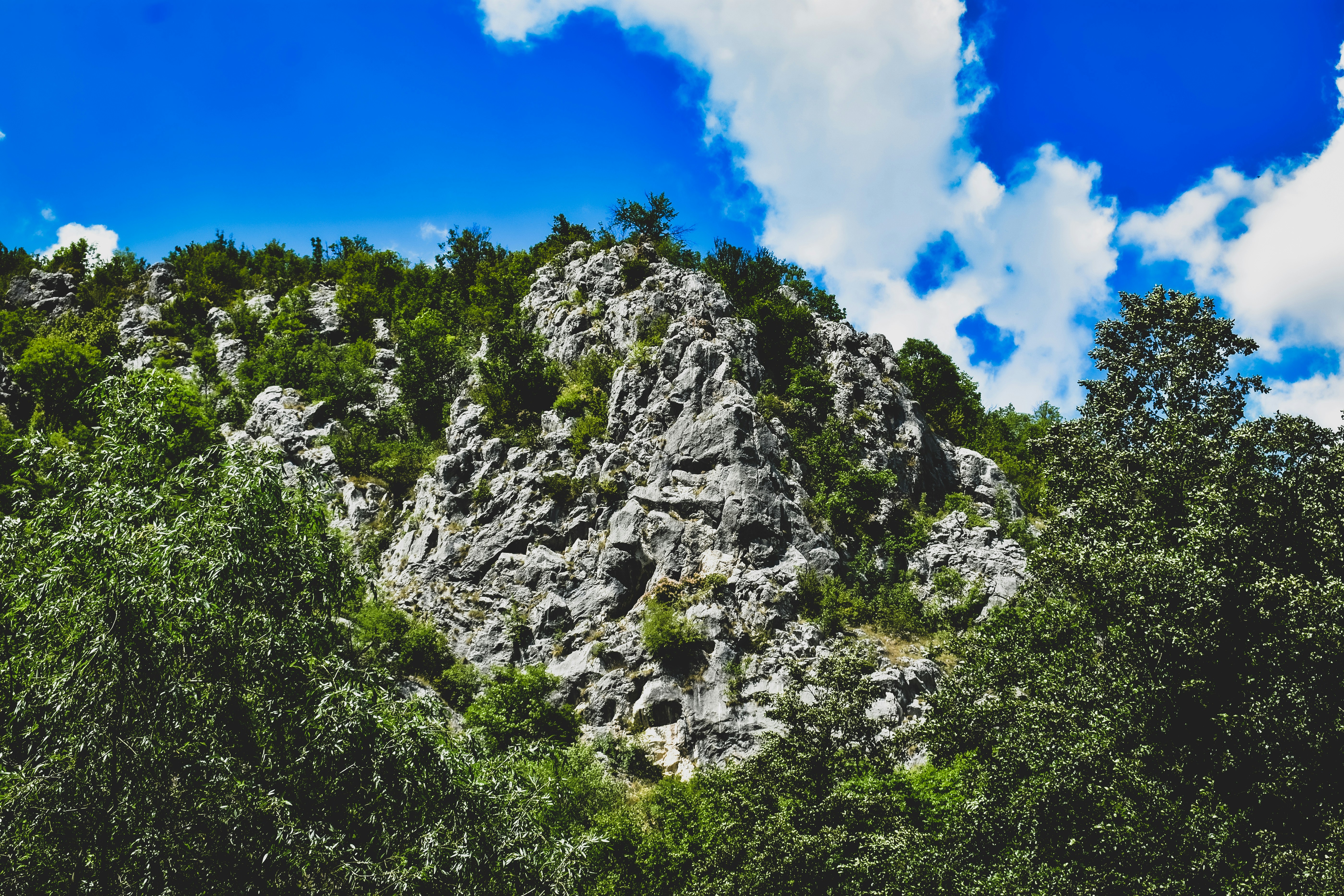 Photo by silverius89