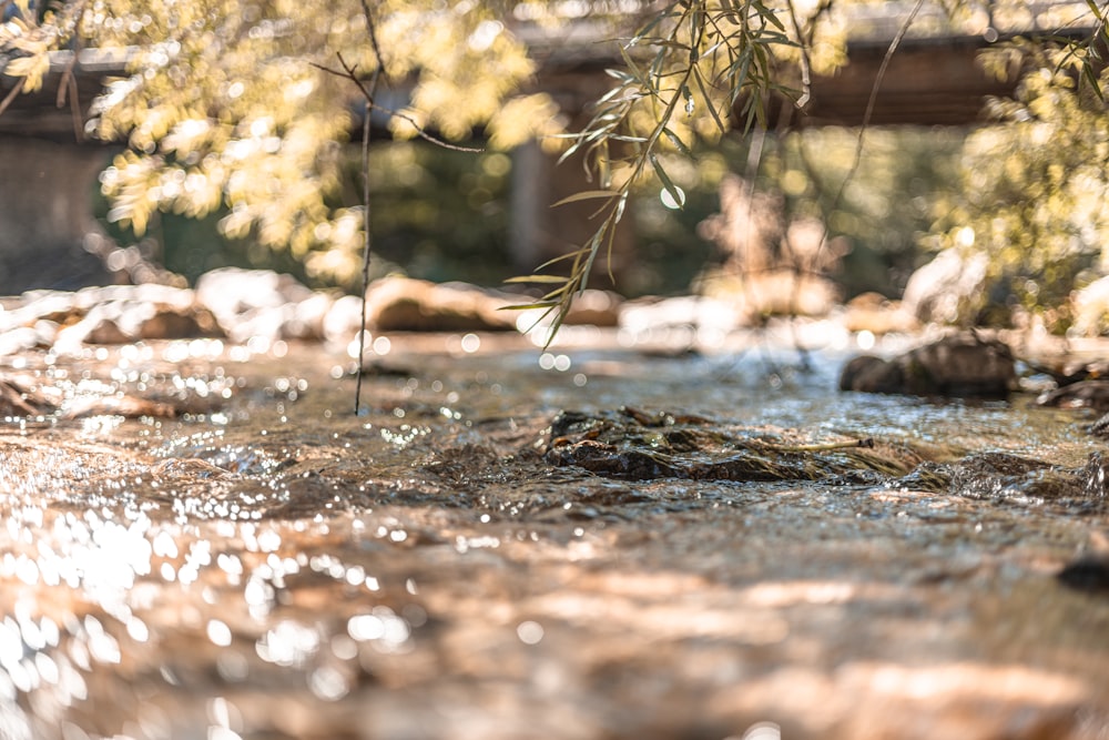 a stream with water flowing through it