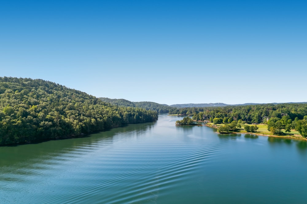 a body of water with trees on the side