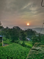 A serene landscape features a lush green field in the foreground, bordered by trees. In the background, the sun sets with a soft glow against a cloudy sky. Rolling hills and wind turbines are faintly visible in the distance, hinting at sustainable energy use.