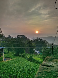A serene landscape features a lush green field in the foreground, bordered by trees. In the background, the sun sets with a soft glow against a cloudy sky. Rolling hills and wind turbines are faintly visible in the distance, hinting at sustainable energy use.