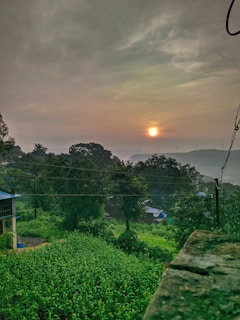 A serene landscape features a lush green field in the foreground, bordered by trees. In the background, the sun sets with a soft glow against a cloudy sky. Rolling hills and wind turbines are faintly visible in the distance, hinting at sustainable energy use.