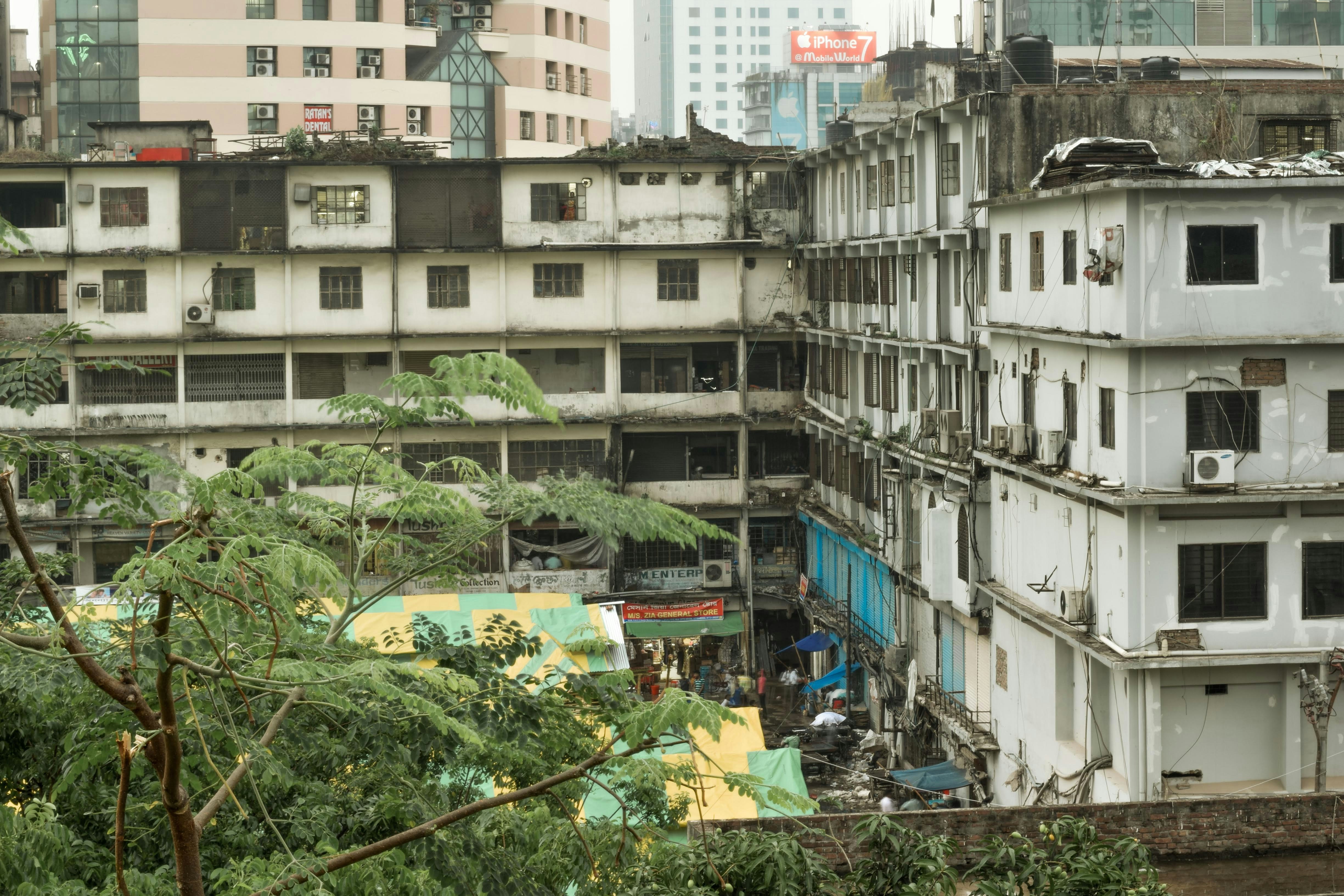 Photo by mangotreetrading