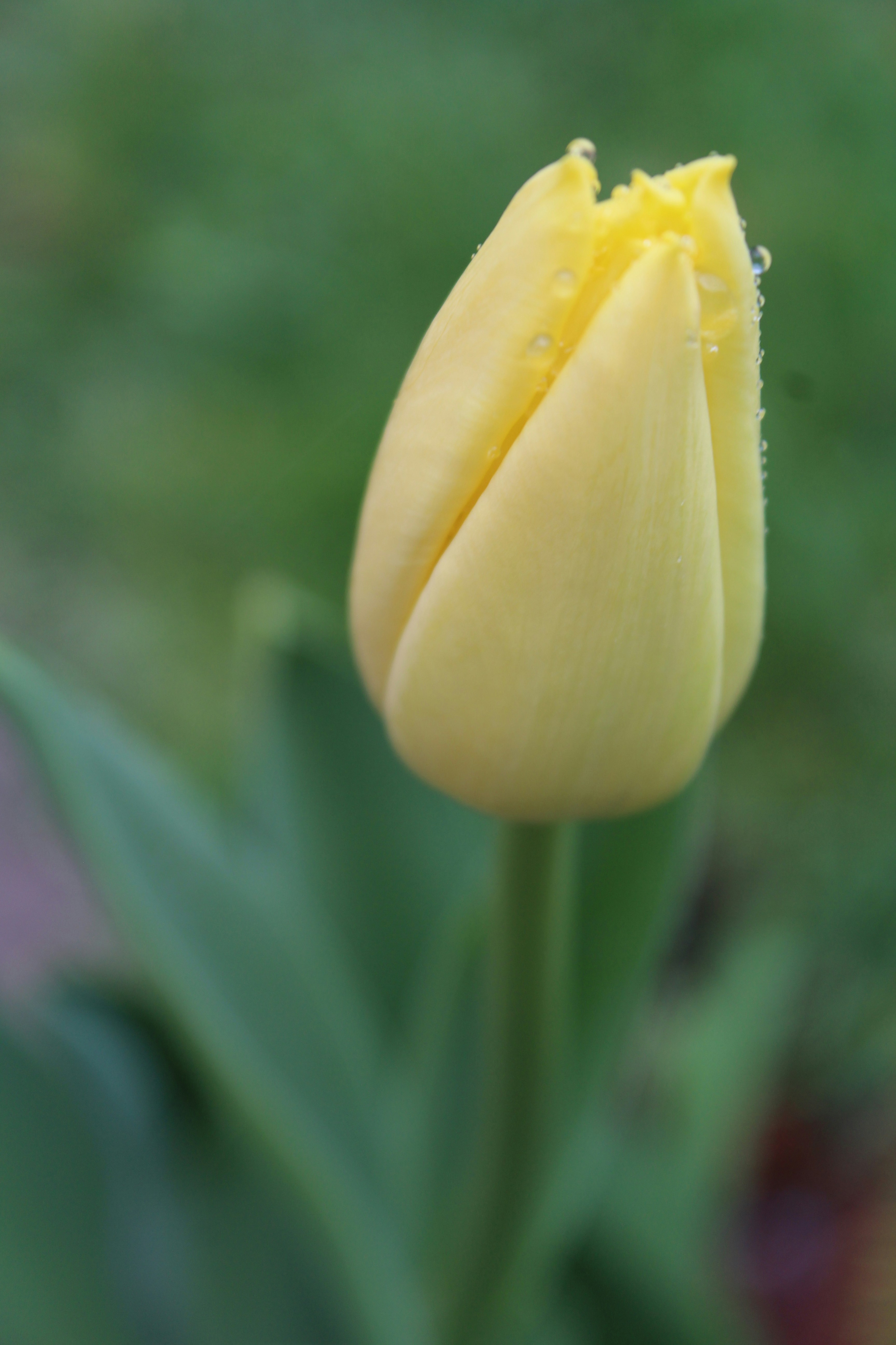 Photo by light_and_hope