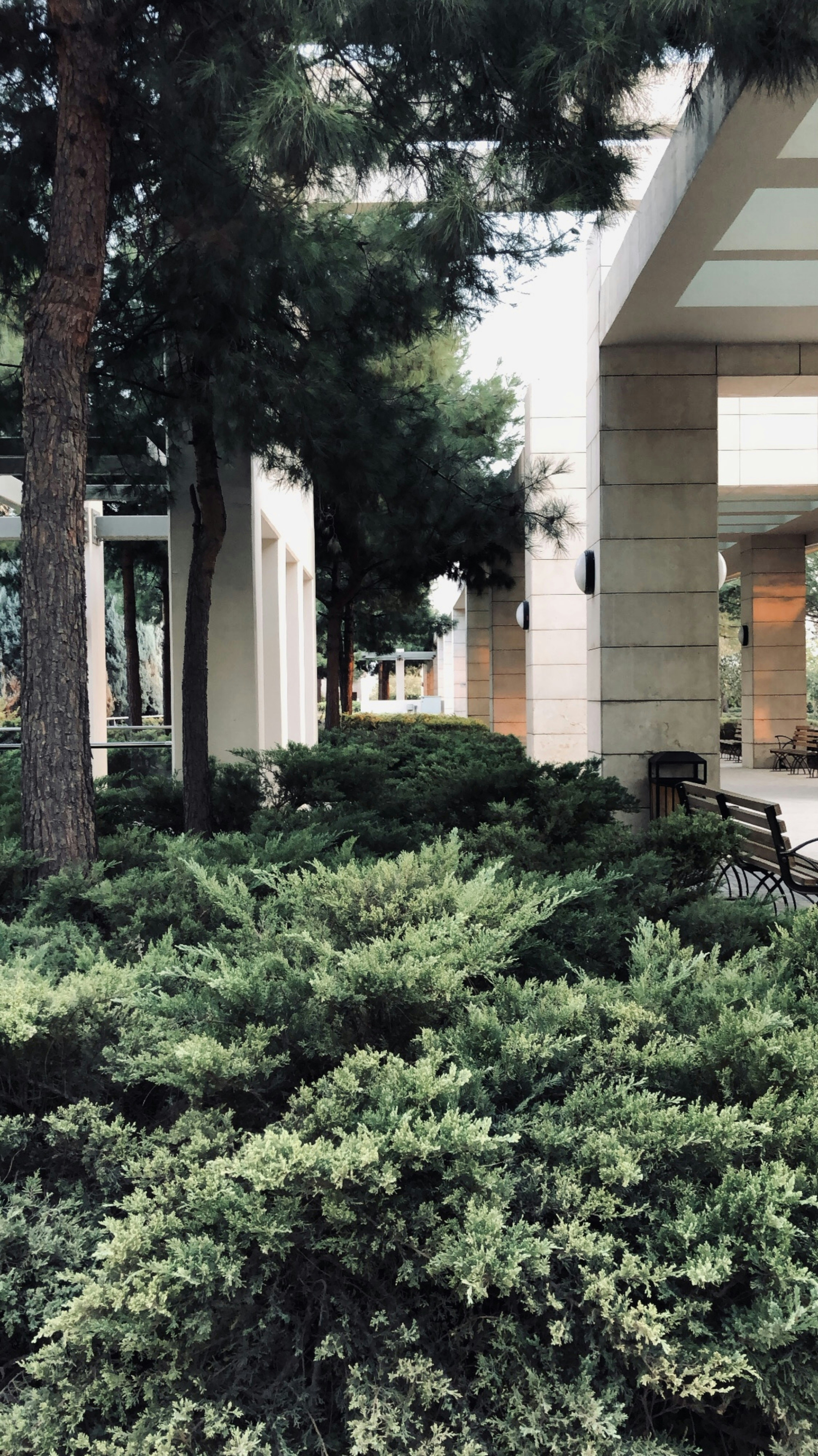 a building with trees in front of it