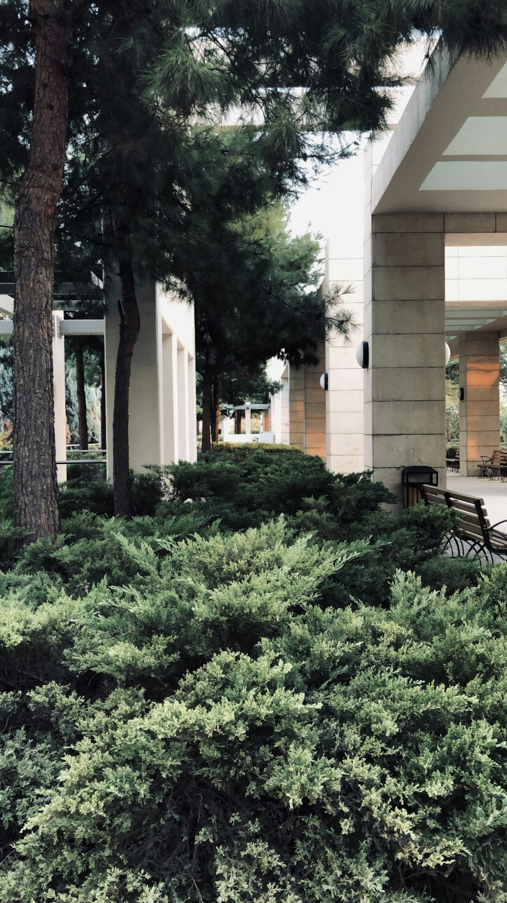 a building with trees in front of it