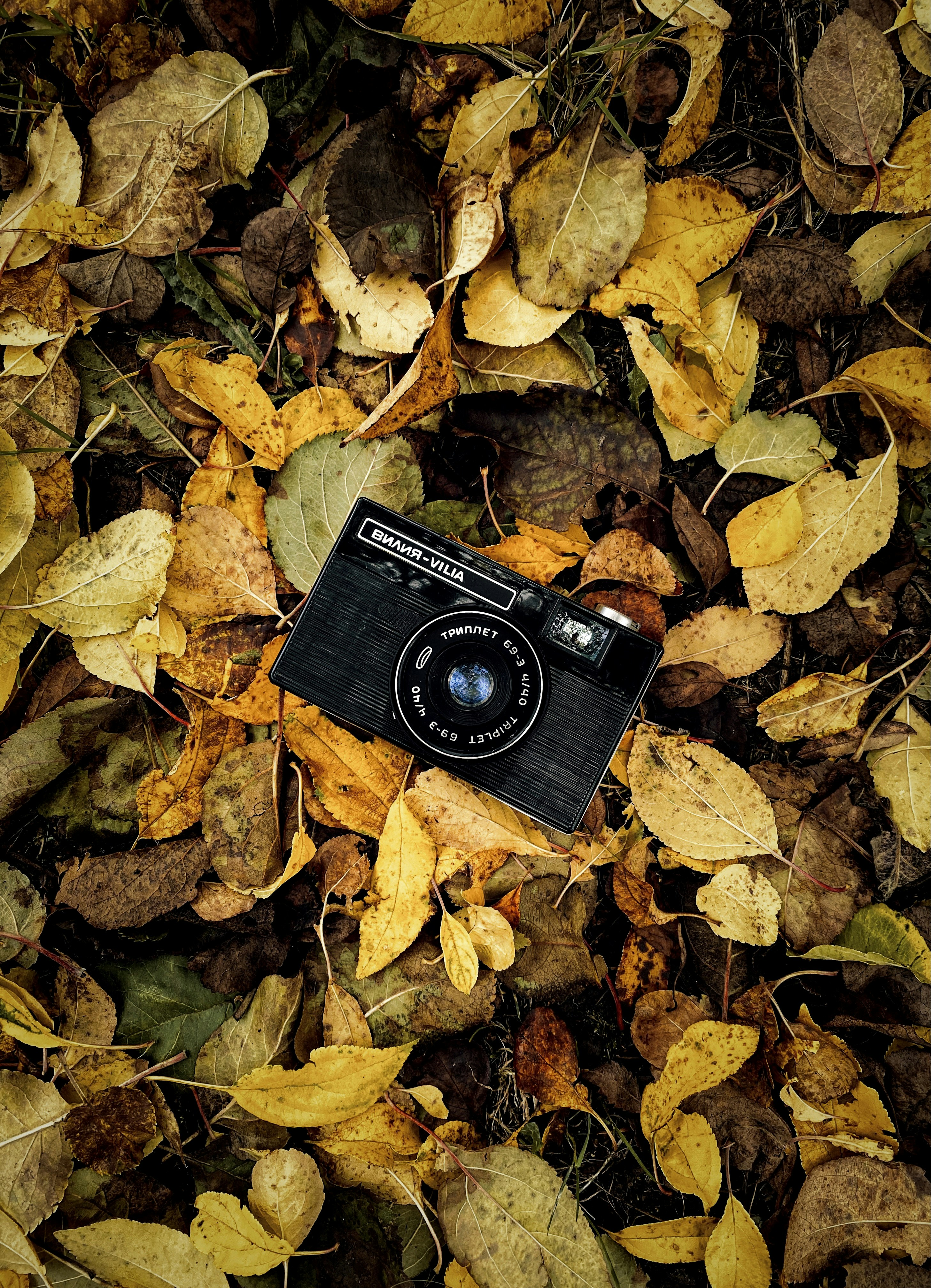 Photo by eugene_golovesov