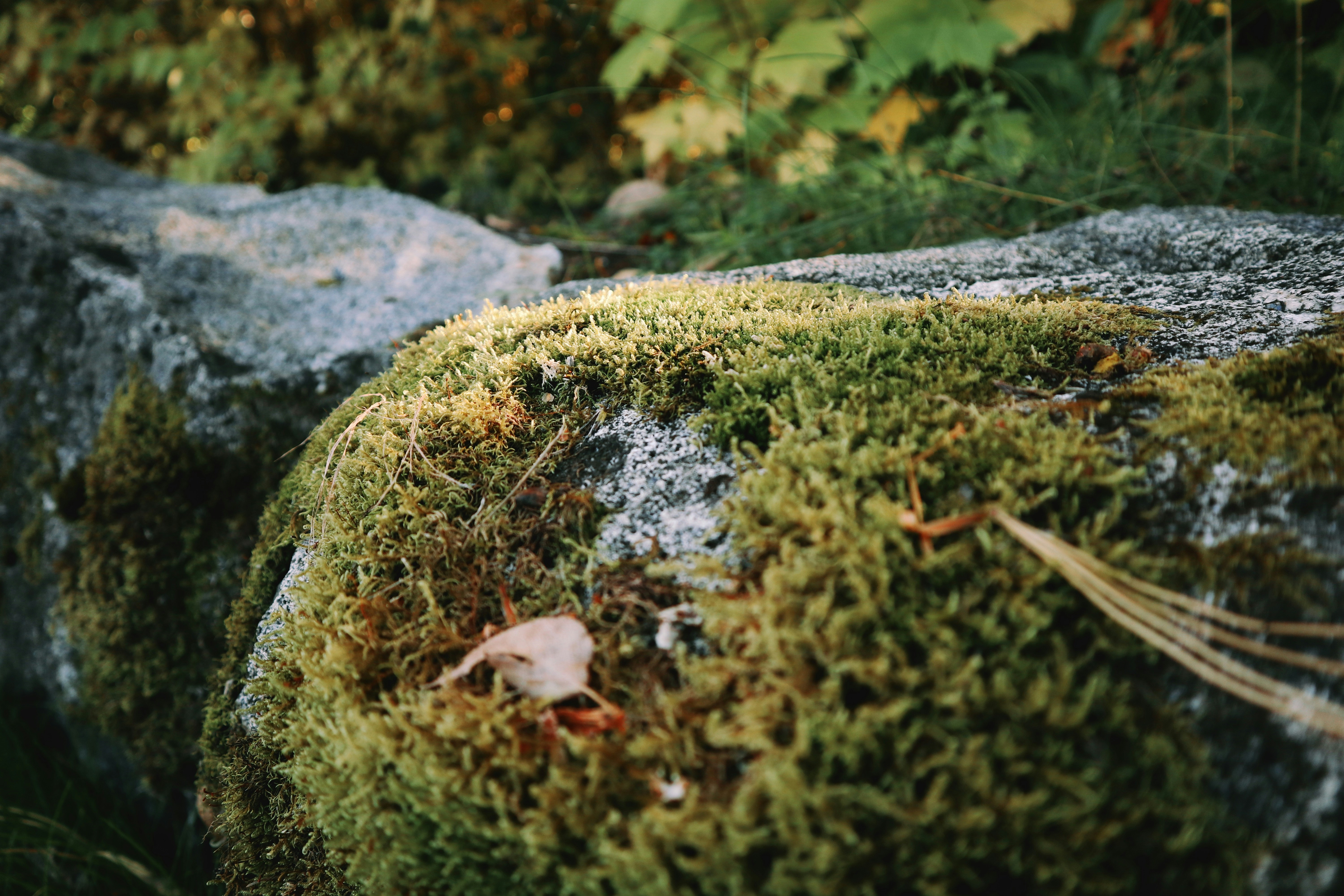 Oulu – Natural Environment & Landscapes