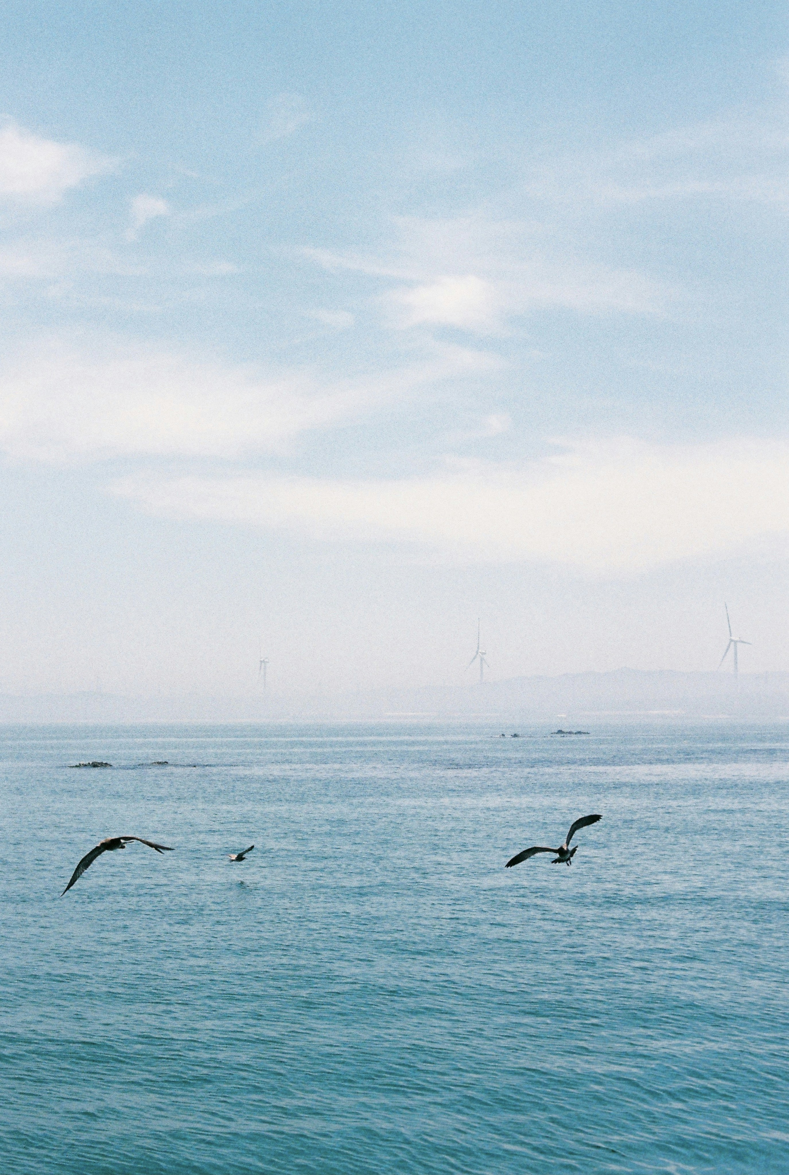 Photo by sharonxuaner