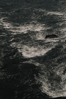 Churning waves create white foamy patterns on the surface of a deep, dark river. The water moves rapidly, swirling around a partially submerged rock.