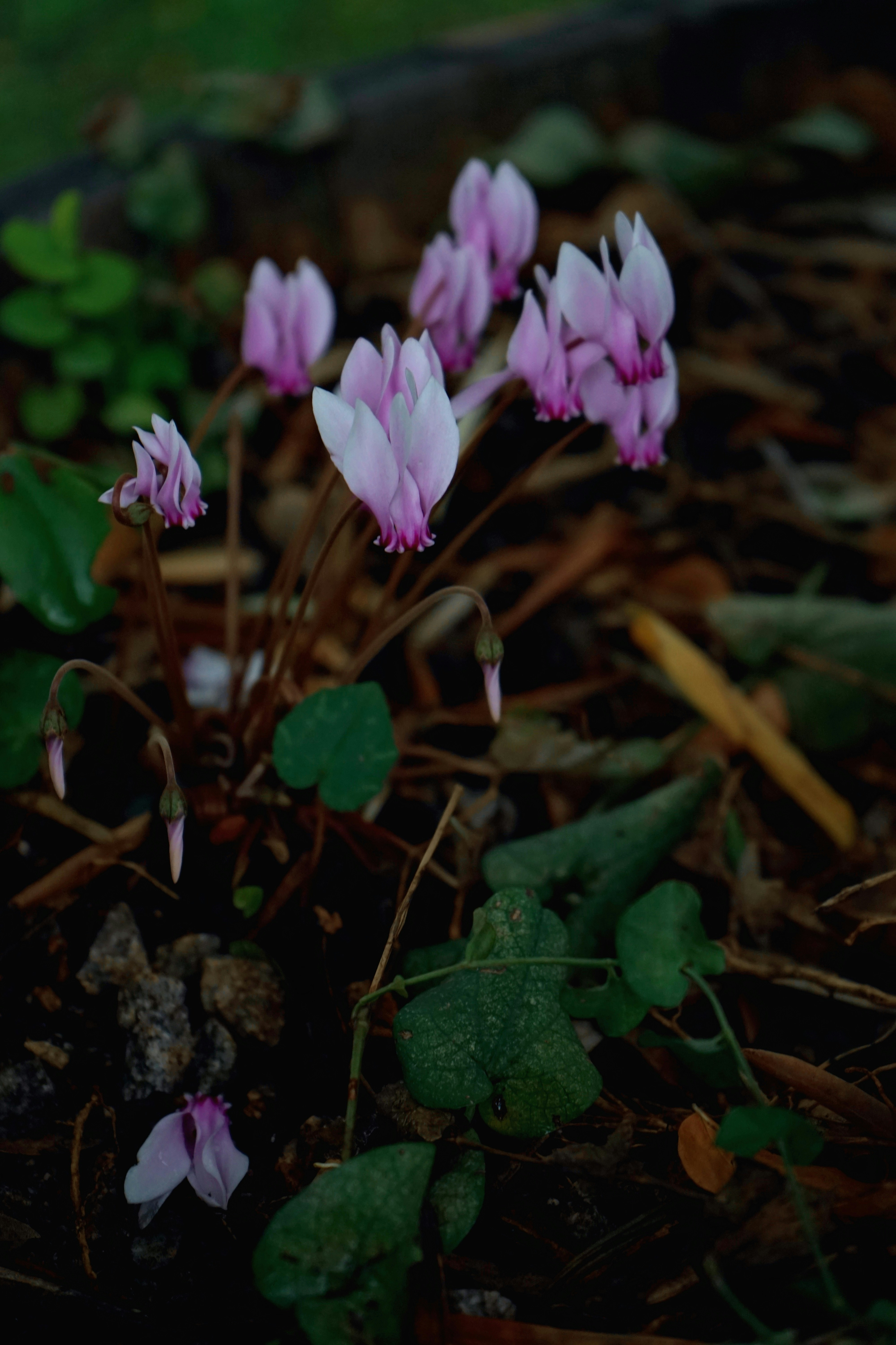 Photo by thdrmdrctr
