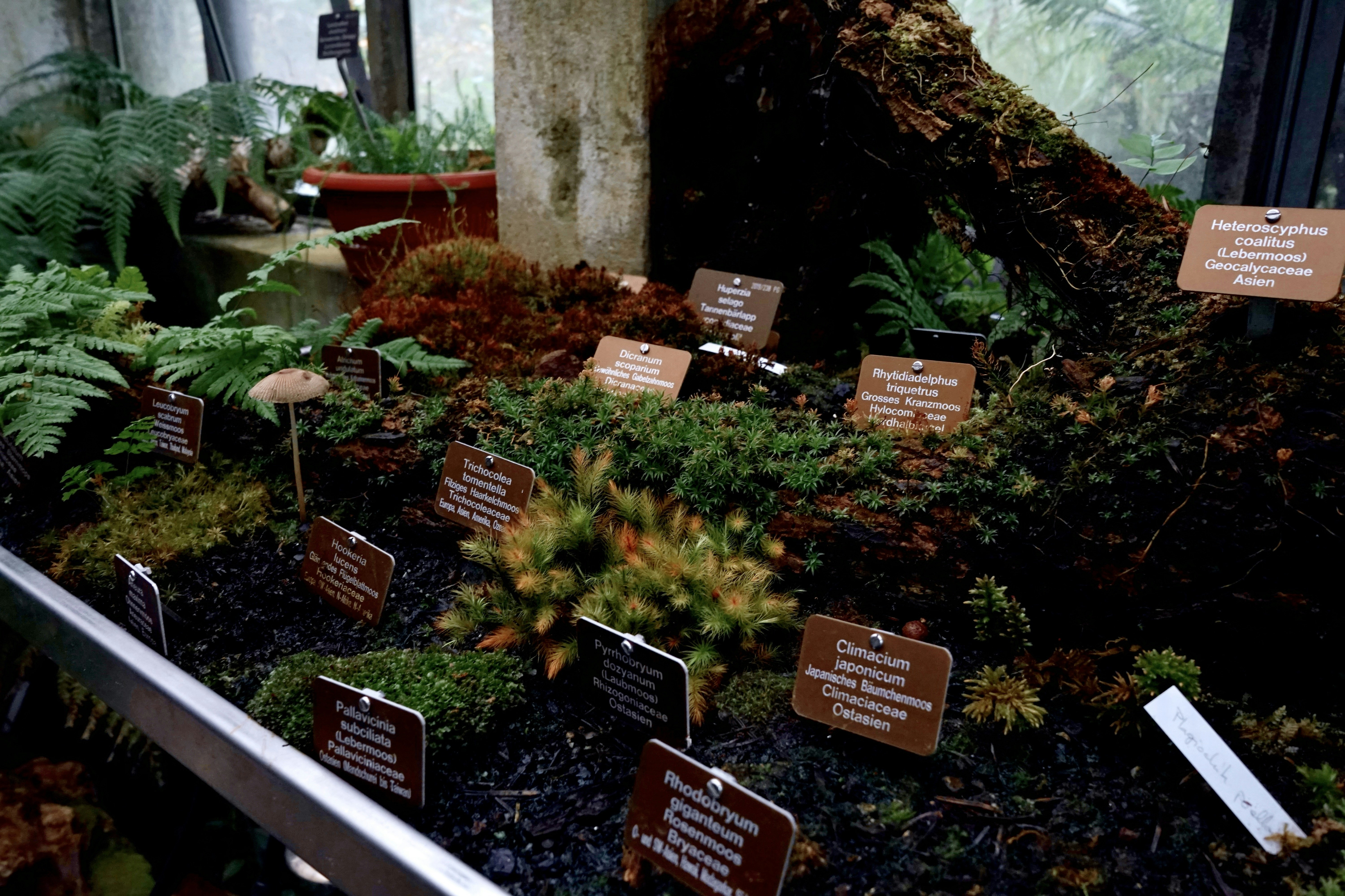 Environnement préservé et biodiversité