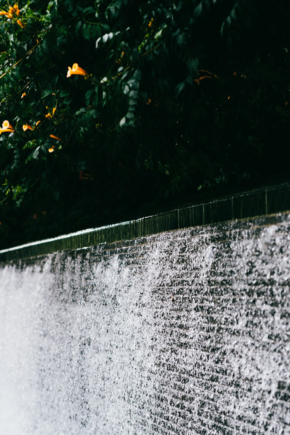 a waterfall with trees around it