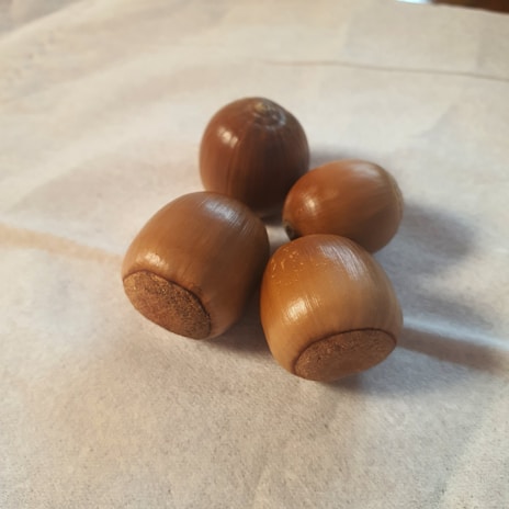 Four brown acorns lying on a light-colored, textured surface. They are arranged close to each other and display smooth, shiny shells with slightly roughened caps at one end.