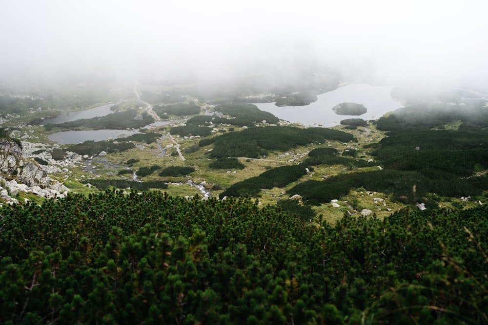 a landscape with trees and a body of water in the distance