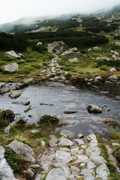 A tranquil mountain landscape features a trail of stones leading through a shallow stream. Surrounding the path are patches of vibrant green grass and scattered rocks. Dense, dark green shrubs cover the rolling hillsides, with mist partially obscuring the distant peaks.