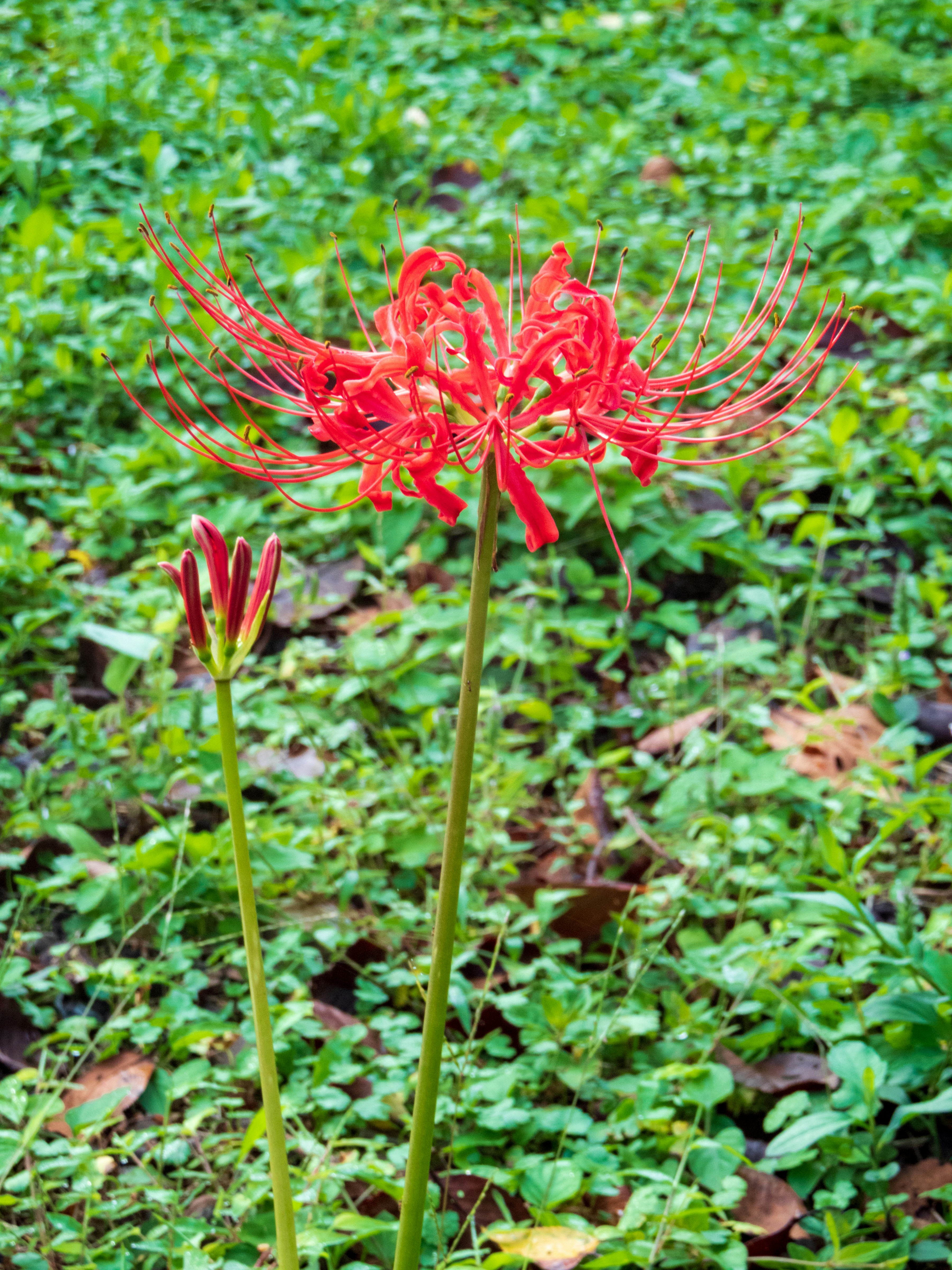 Photo by heppoko_yama