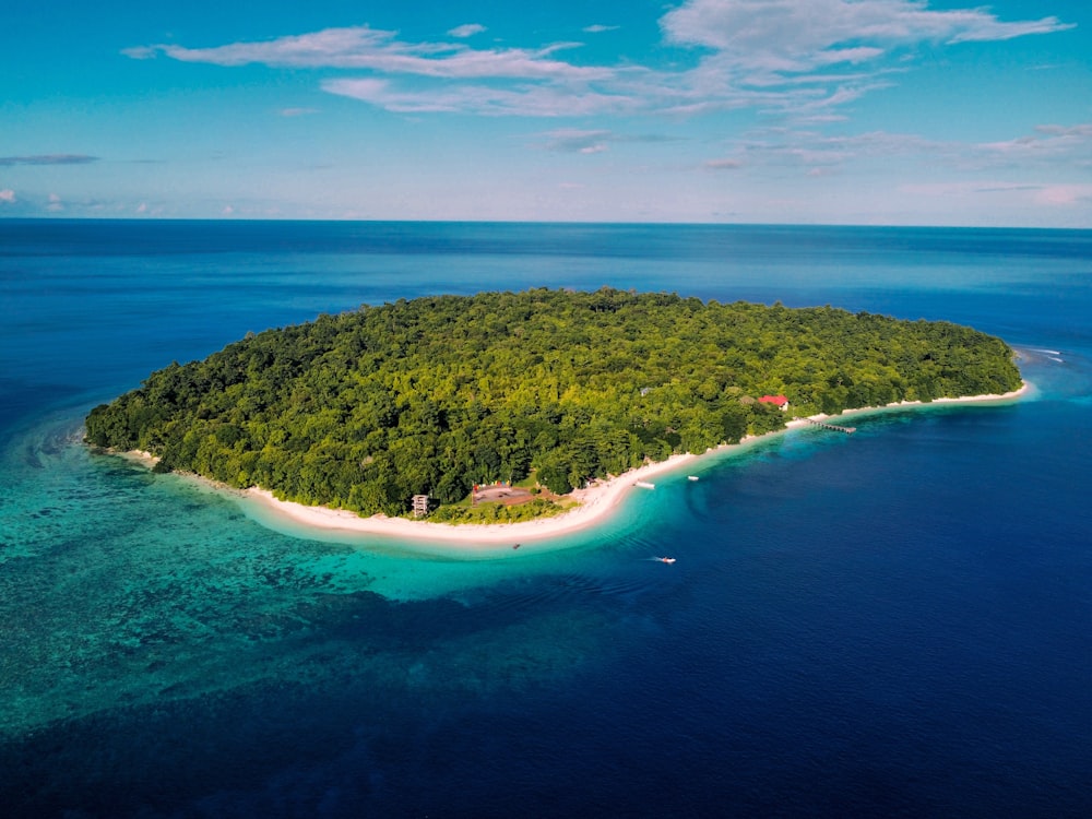 an island with trees and a building