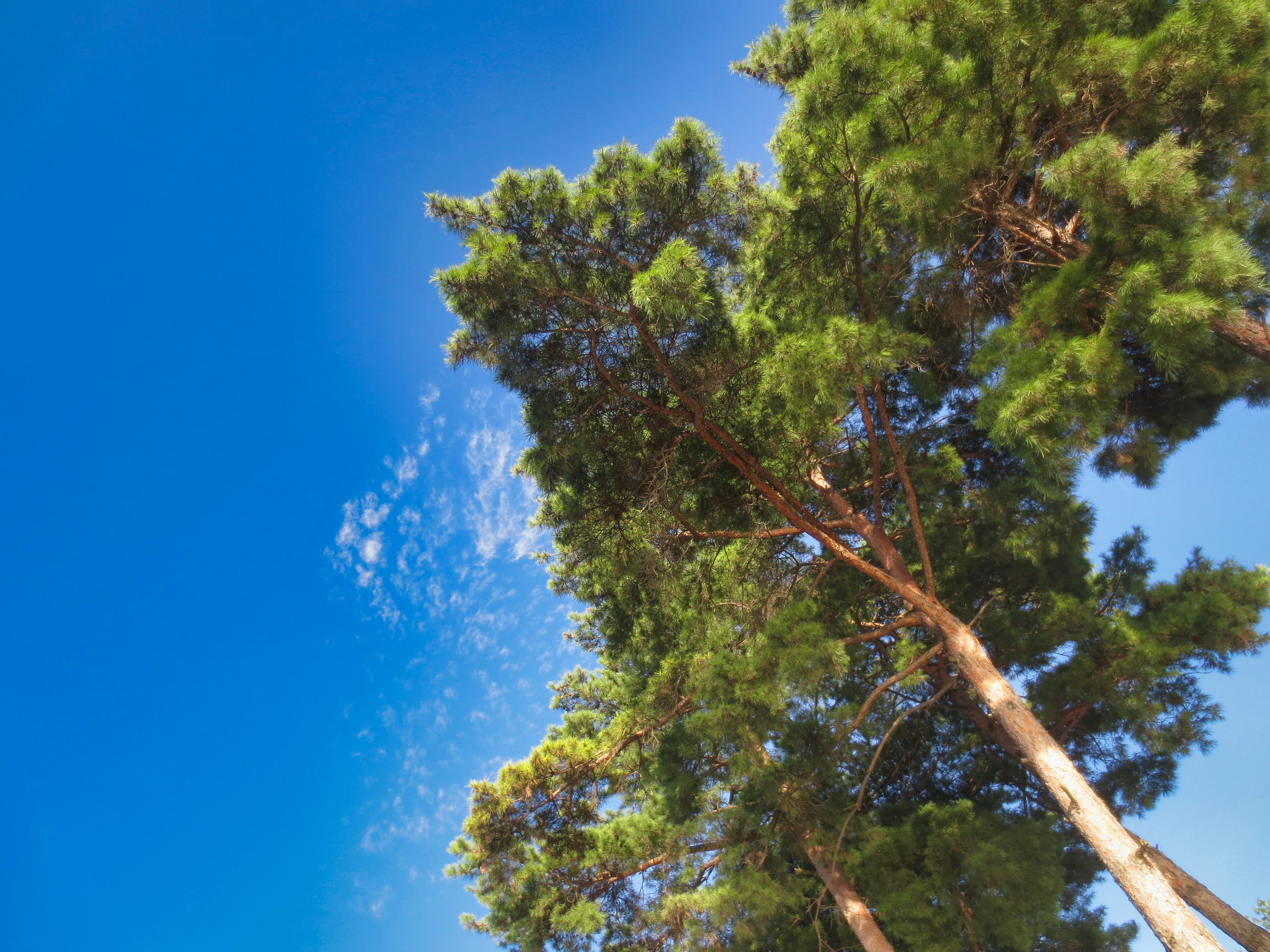 Photo by lapis_photo