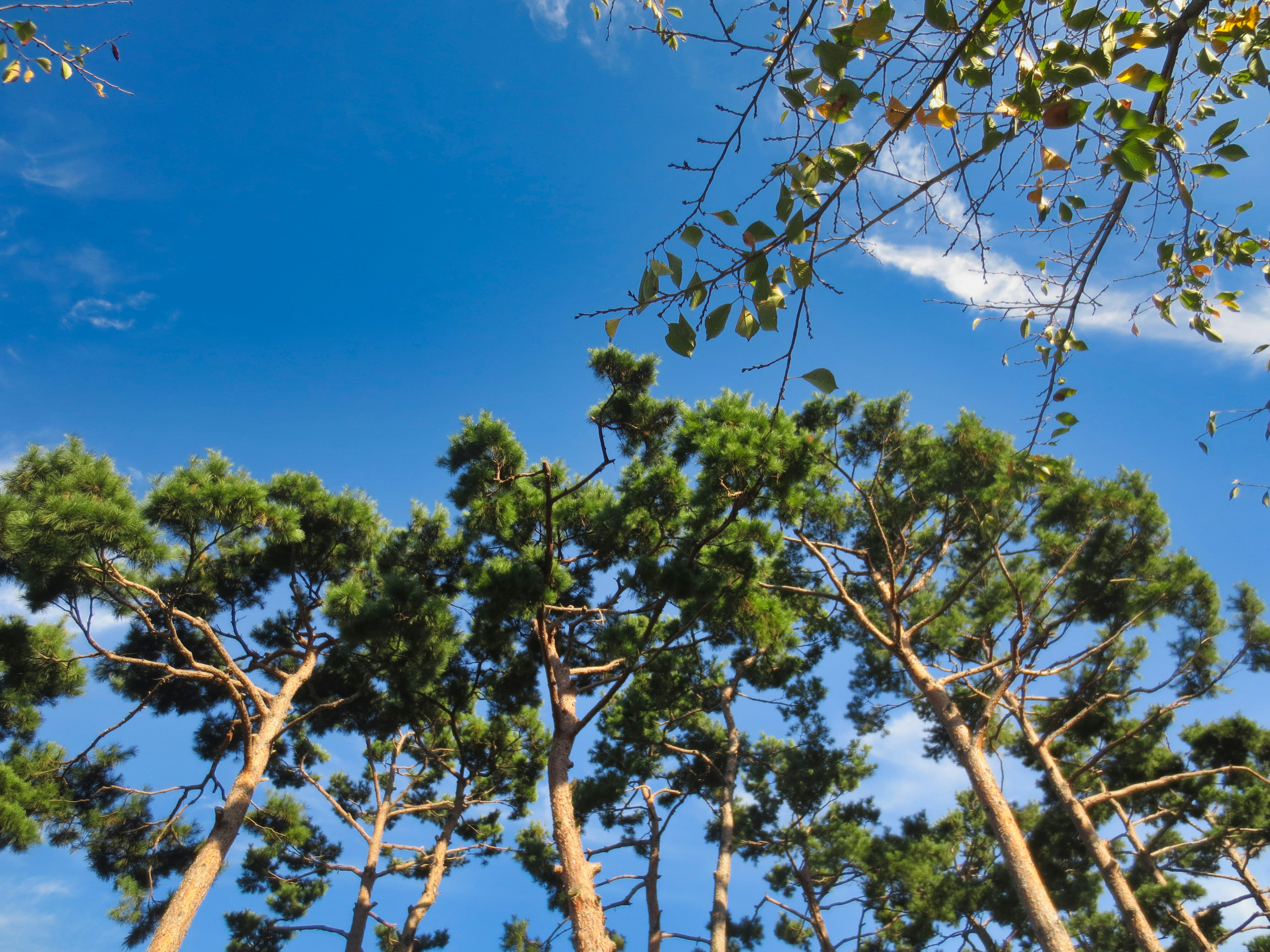 Photo by lapis_photo