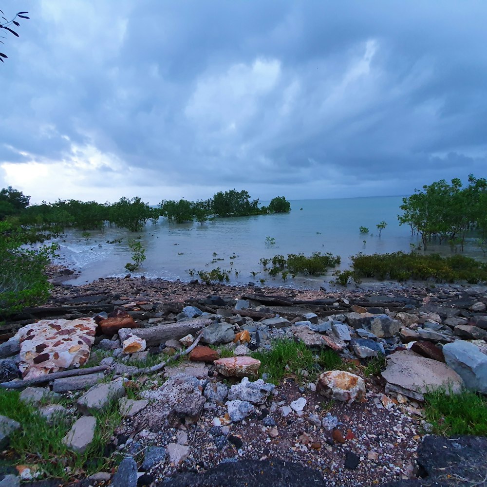 a rocky shore with a body of water in the background