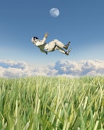 An astronaut in a white spacesuit is floating above a lush green field with long grass. Fluffy white clouds gather near the horizon under a clear blue sky. The moon is visible in the sky, adding a surreal element to the scene.