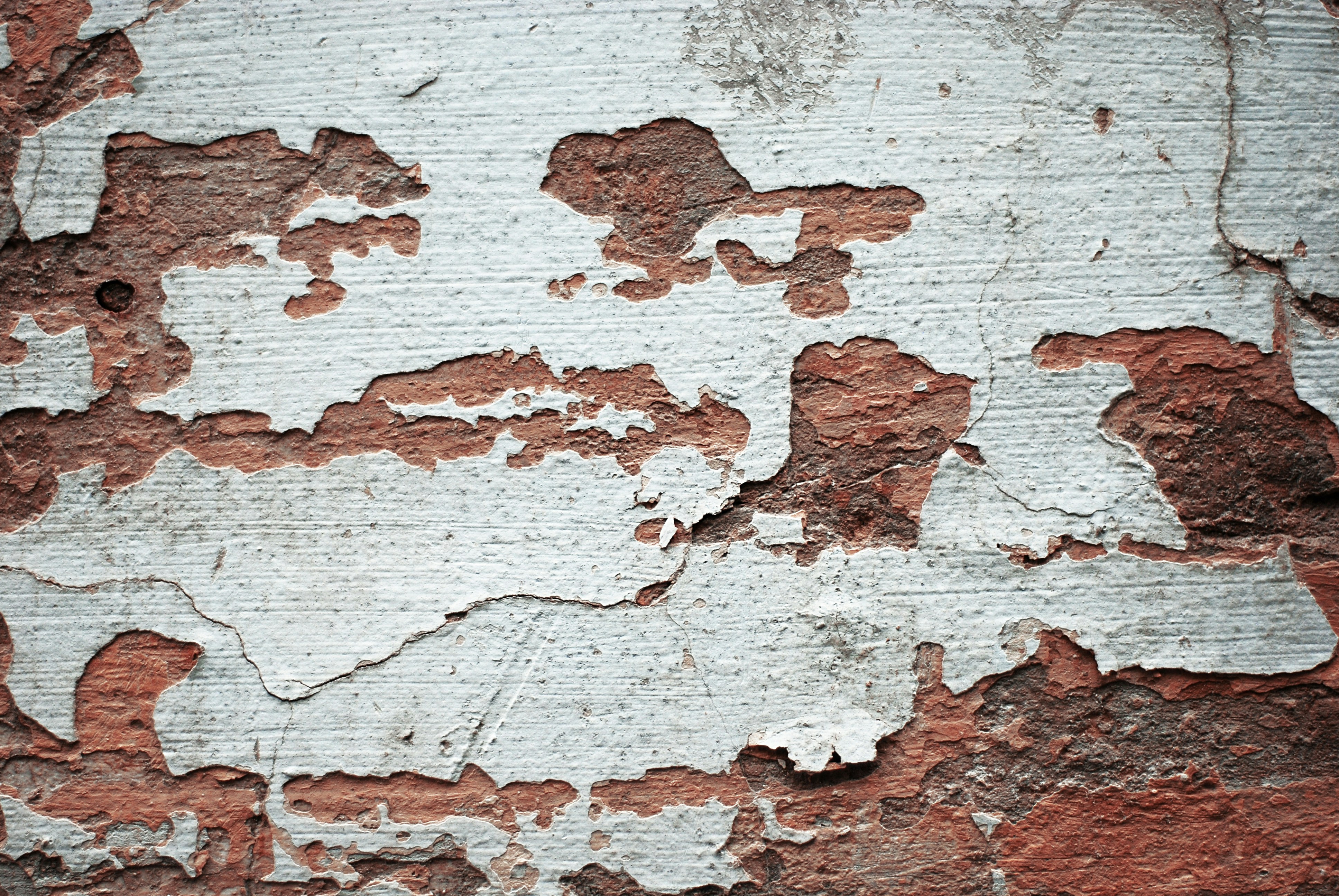 Photo by kovalskihelga