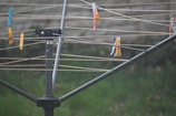 A close-up of stainless steel clothespins on a clothesline.