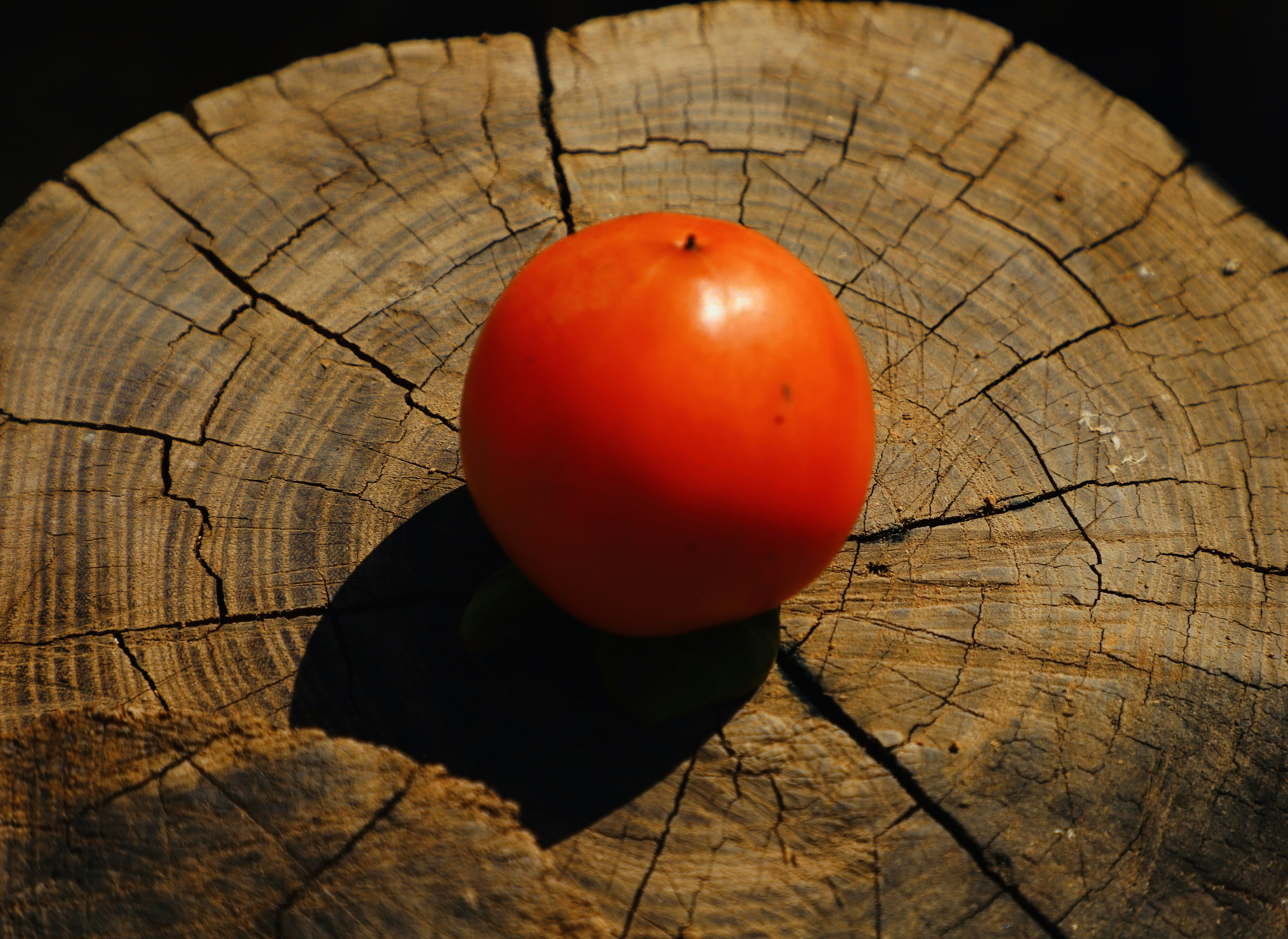 Photo by galaxyhunter