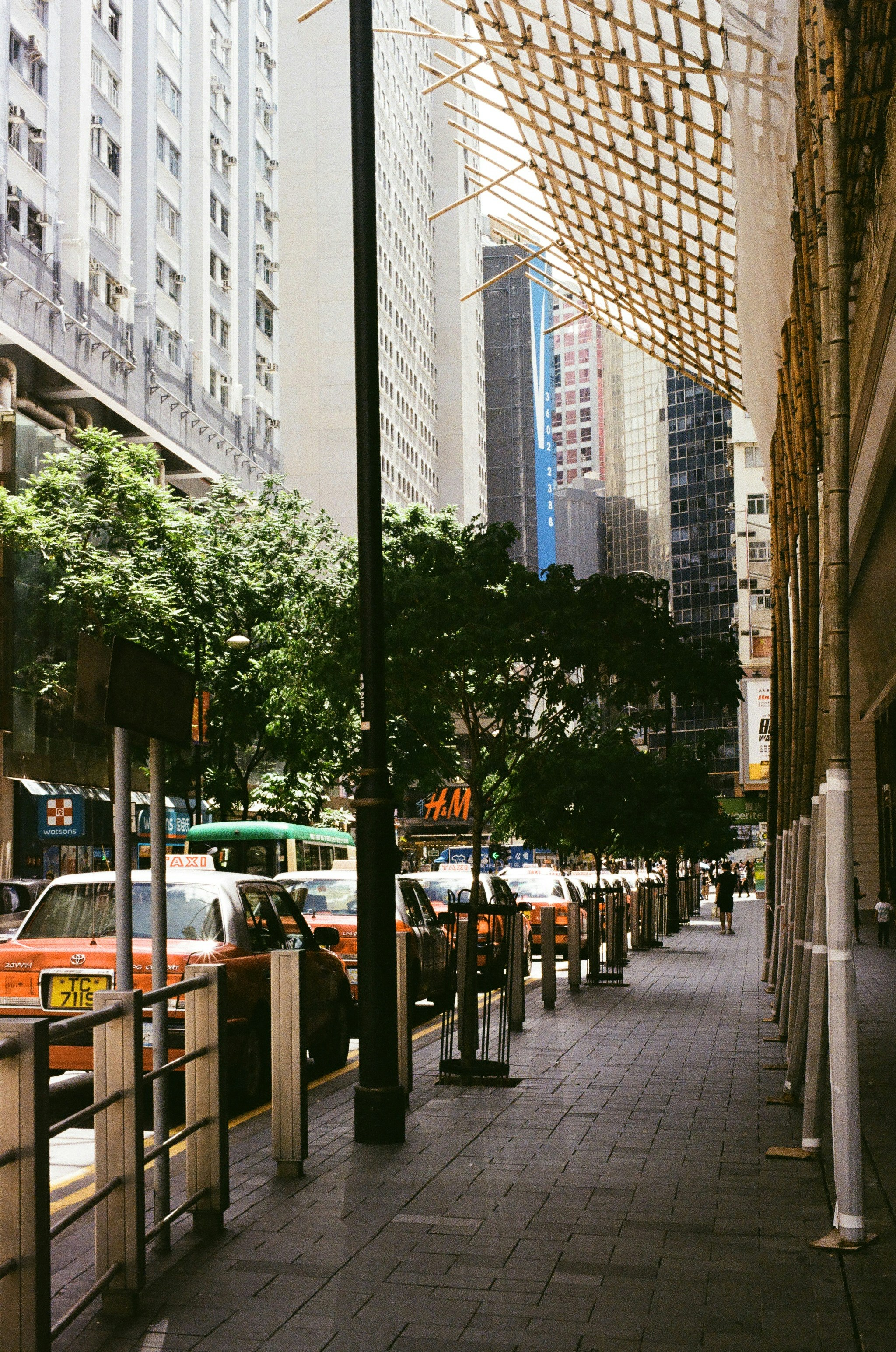Photo by joelnbora