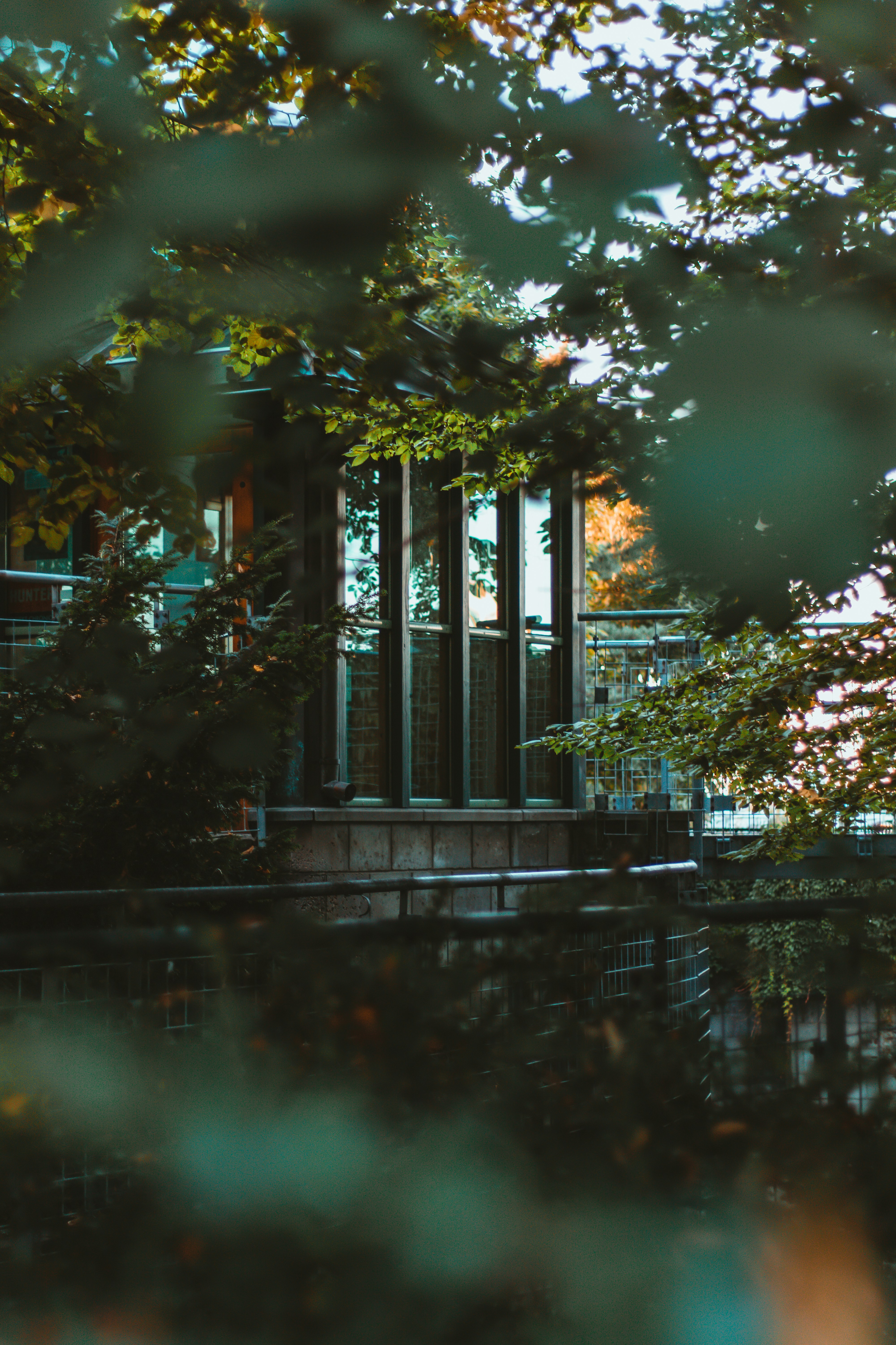 Photo by sylwesterwalczak