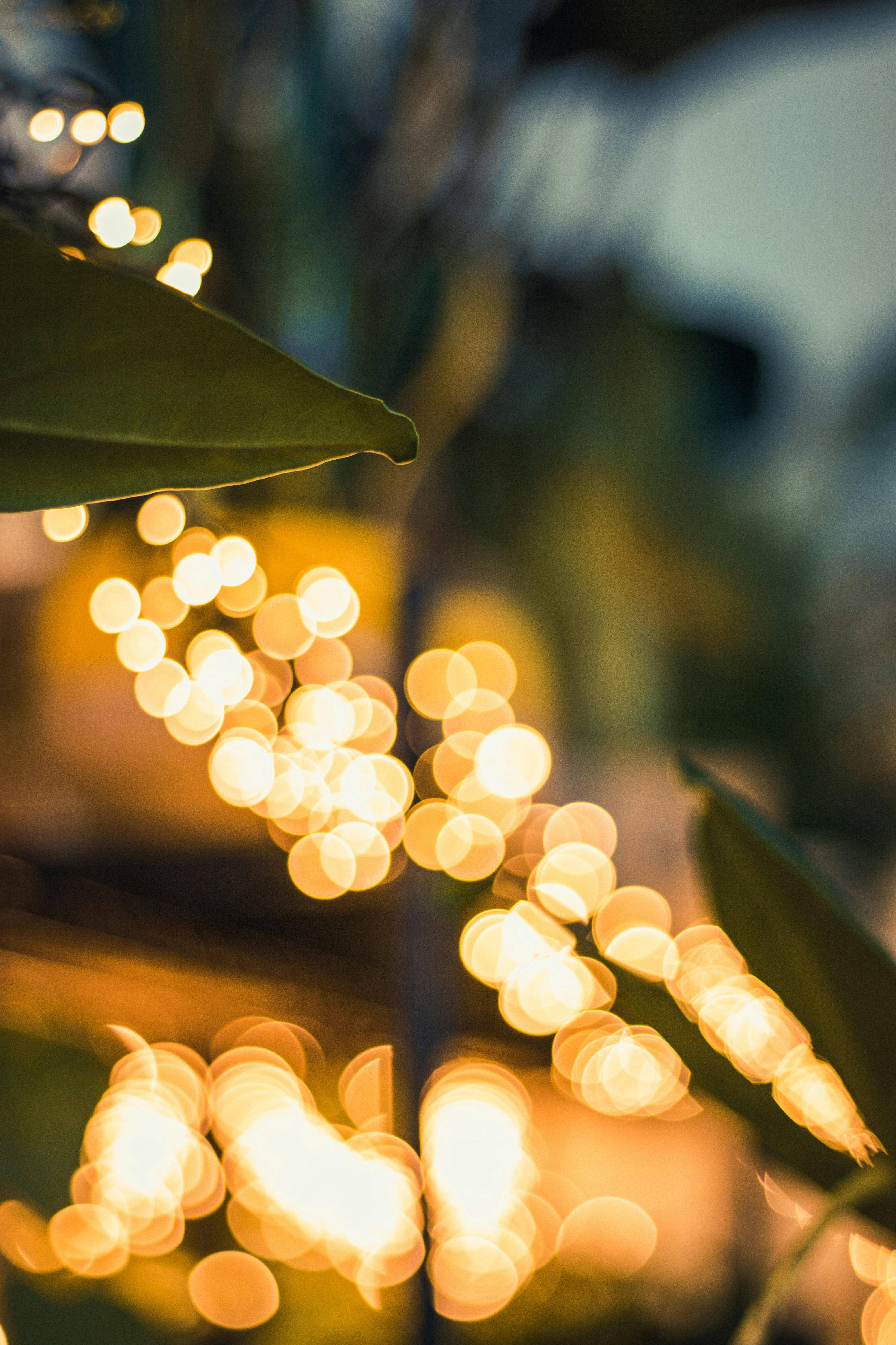 Photo by sylwesterwalczak