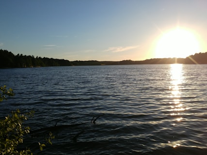 a body of water with trees and a sunset in the background