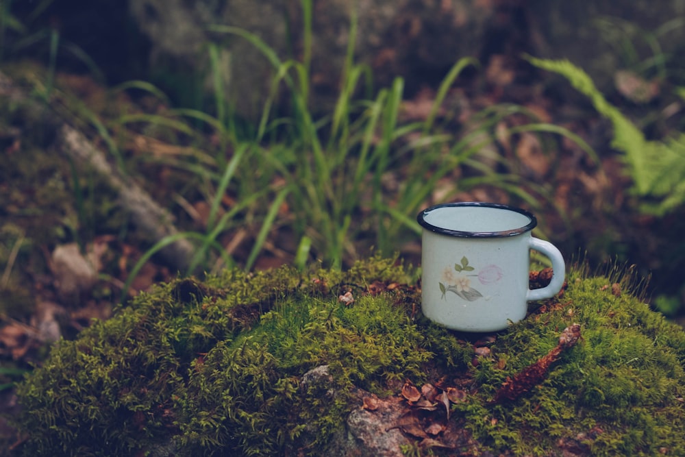 a mug on a mossy rock