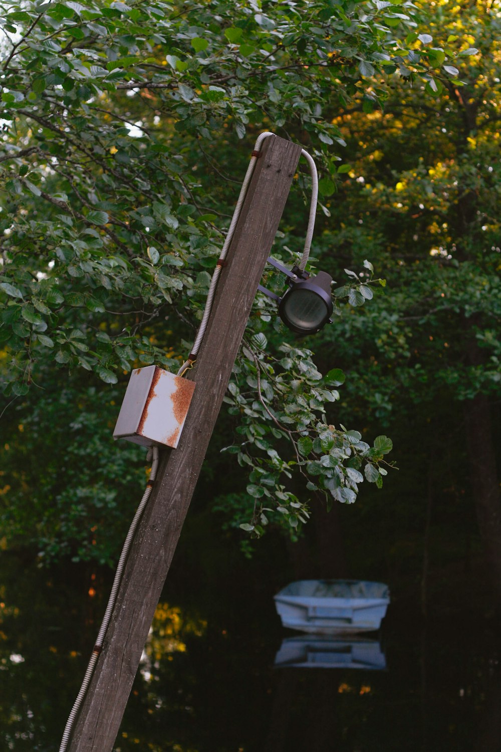 a tree with a bird house