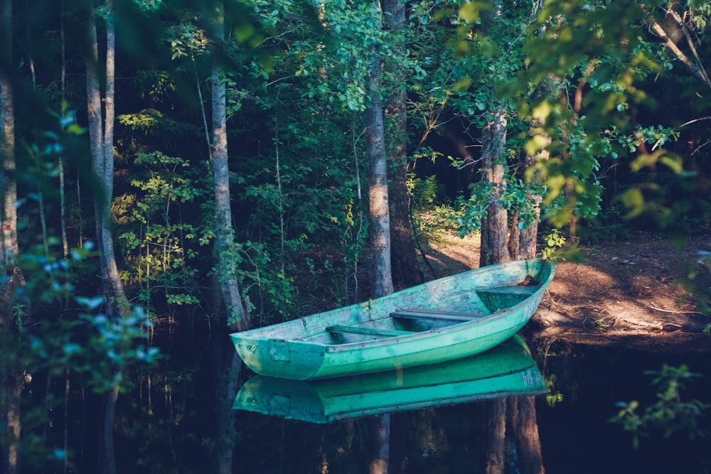 a boat on a wooden platform in a forest