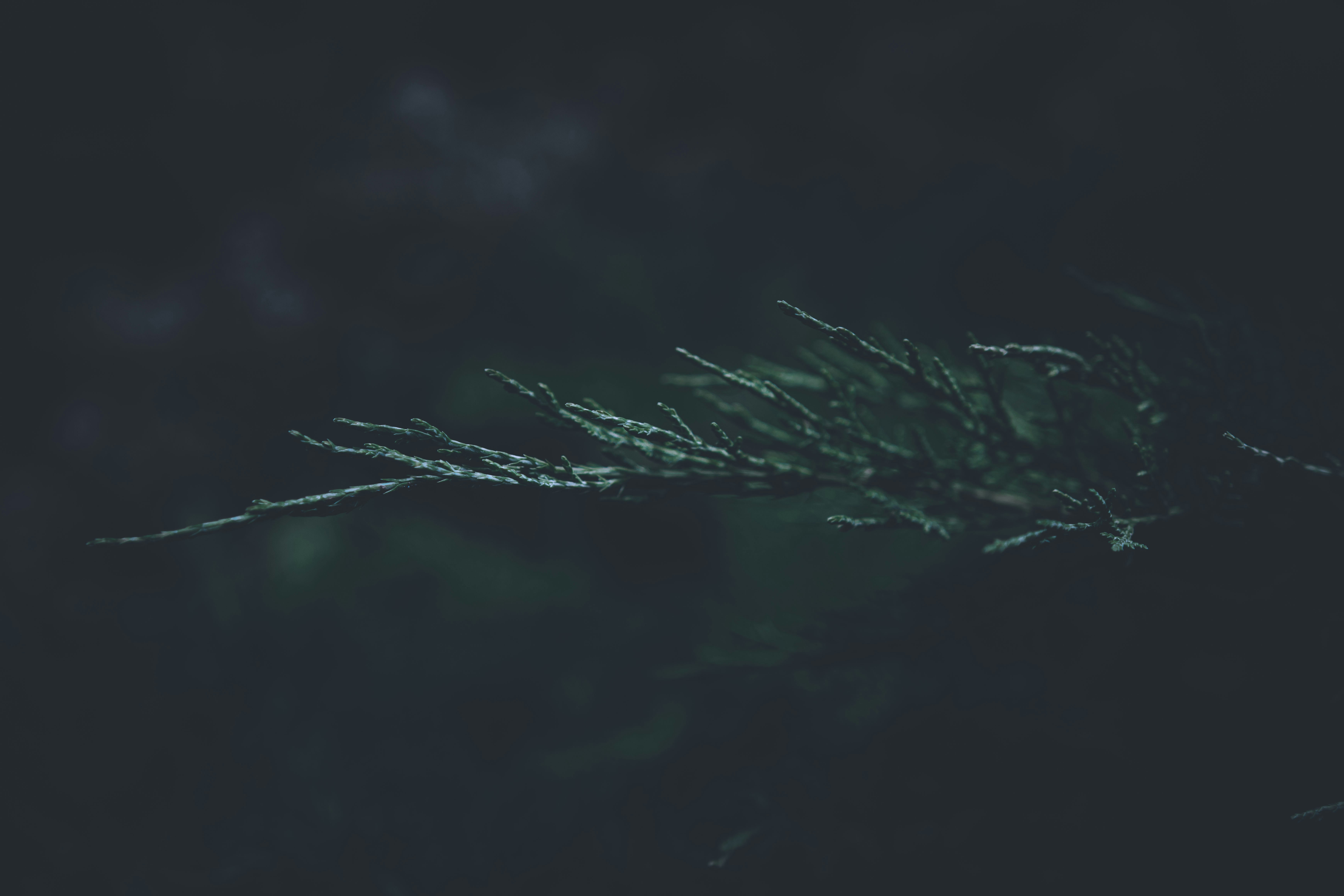 photo-1664112999696-230f0304c2f6?ixid=M3wxMjA3fDB8MXxzZWFyY2h8Mnx8a3Jha2VuJTIwZGFya25ldCUyMCVEMSU4MSVEMSU4MSVEMSU4QiVEMCVCQiVEMCVCQSVEMCVCMHxlbnwwfHx8fDE3NTE5ODU0NDJ8MA\u0026ixlib=rb-4.1.0