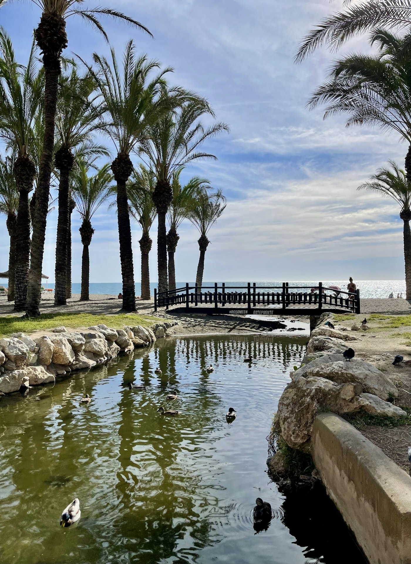 Paseo marítimo y palmeras de Torremolinos