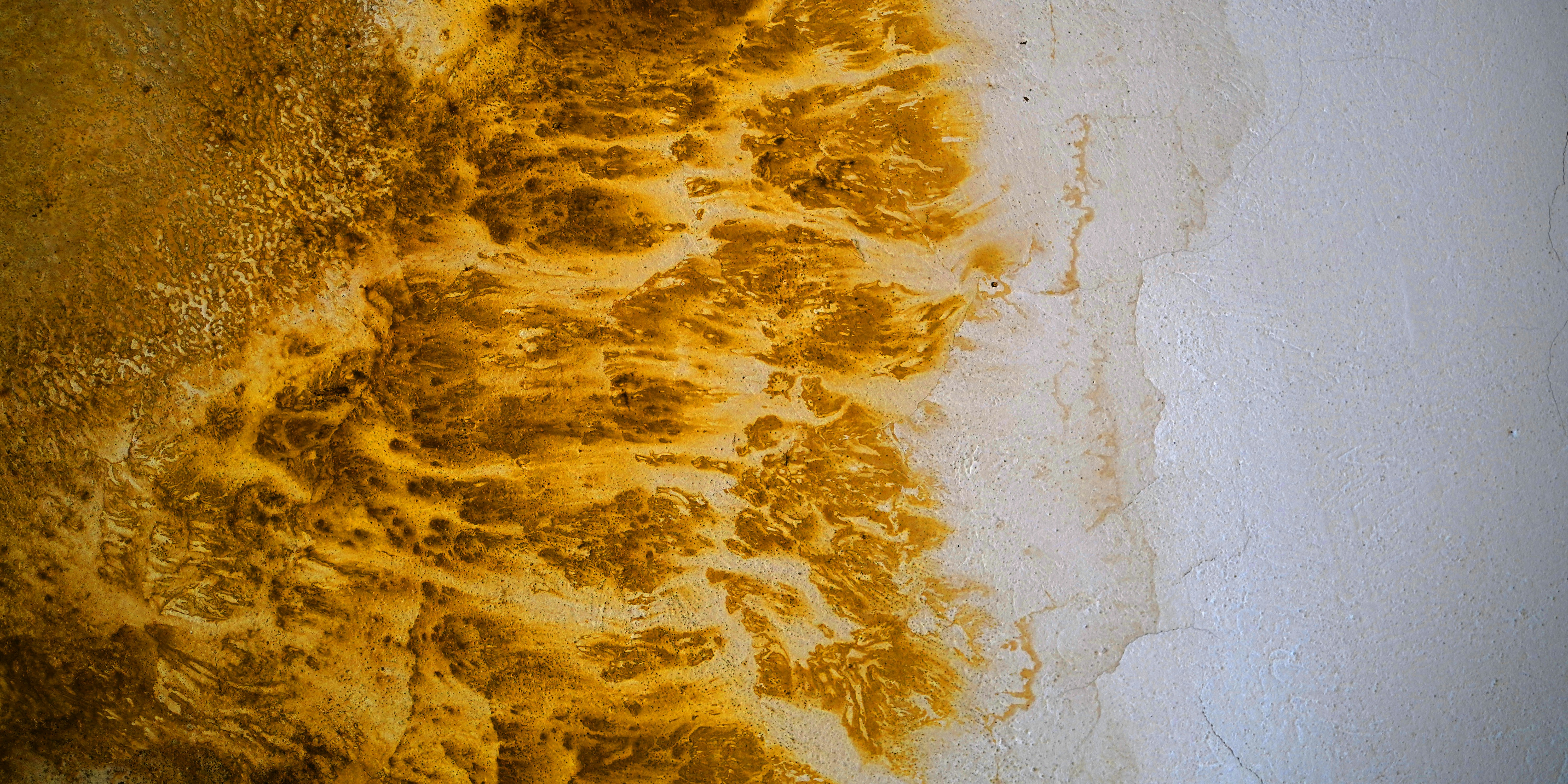 Amber Louise OnlyFans Leaks Pictures Download Free Images on Unsplash