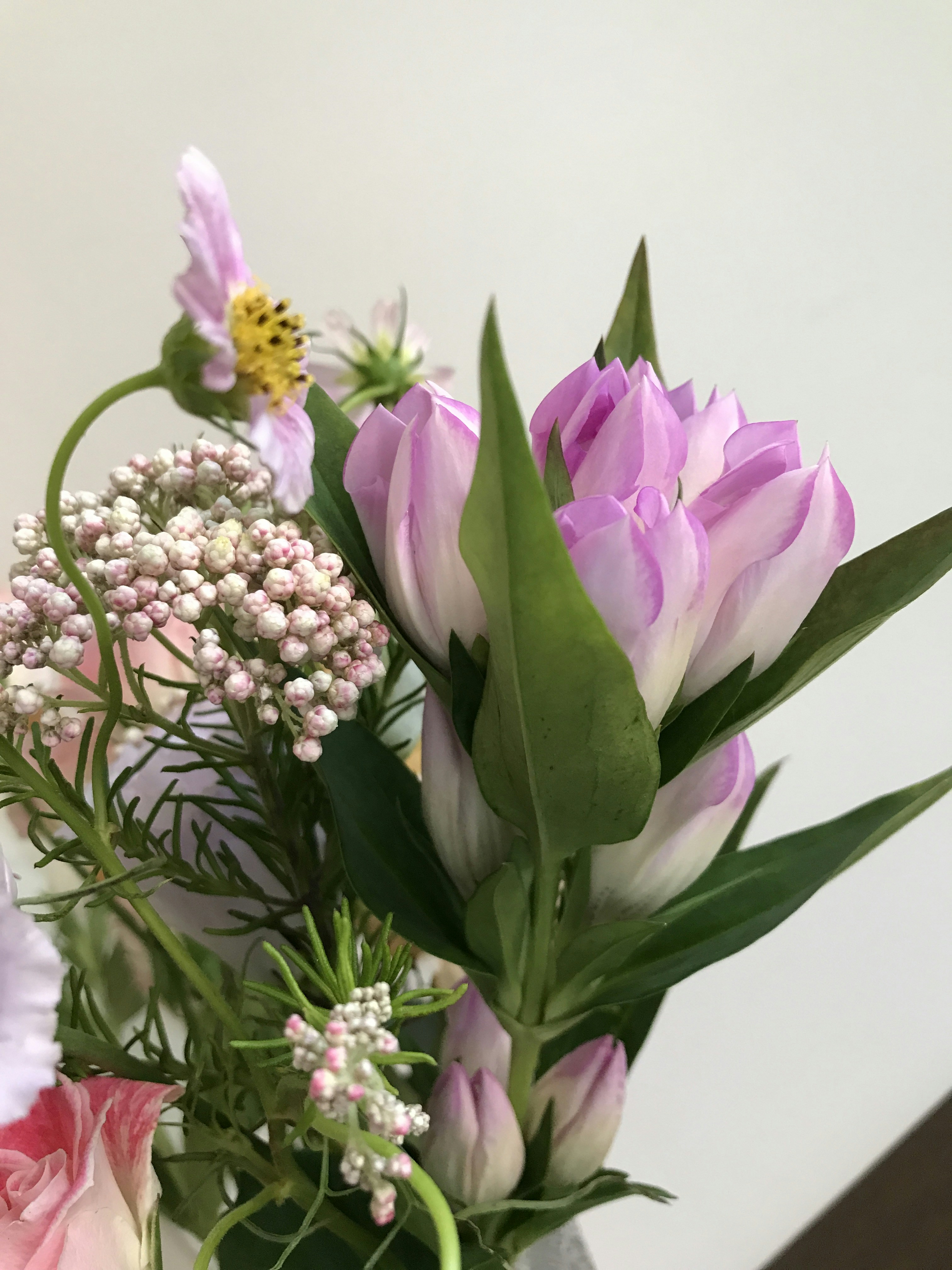 Photo by eriko_takahashi