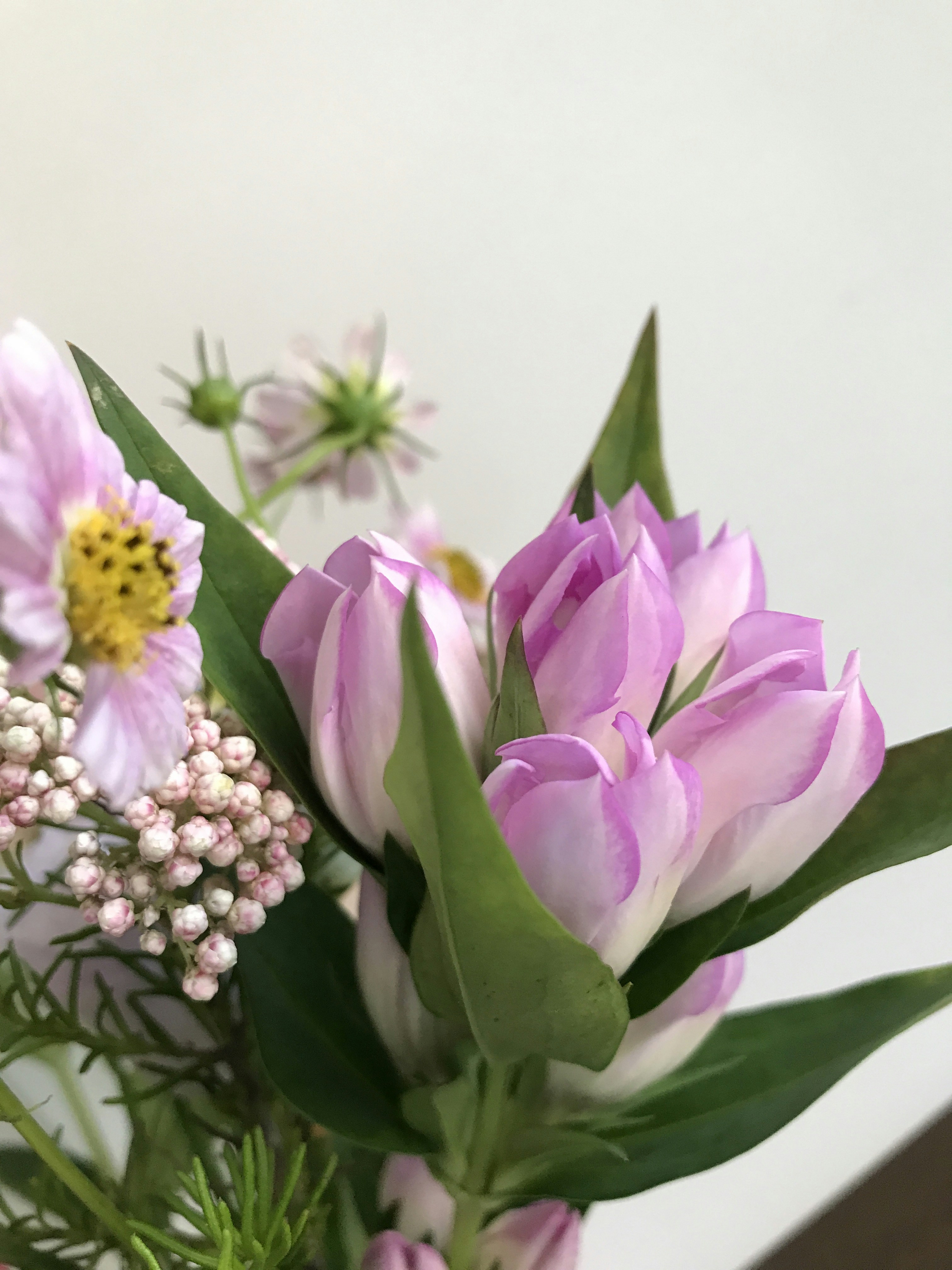 Photo by eriko_takahashi