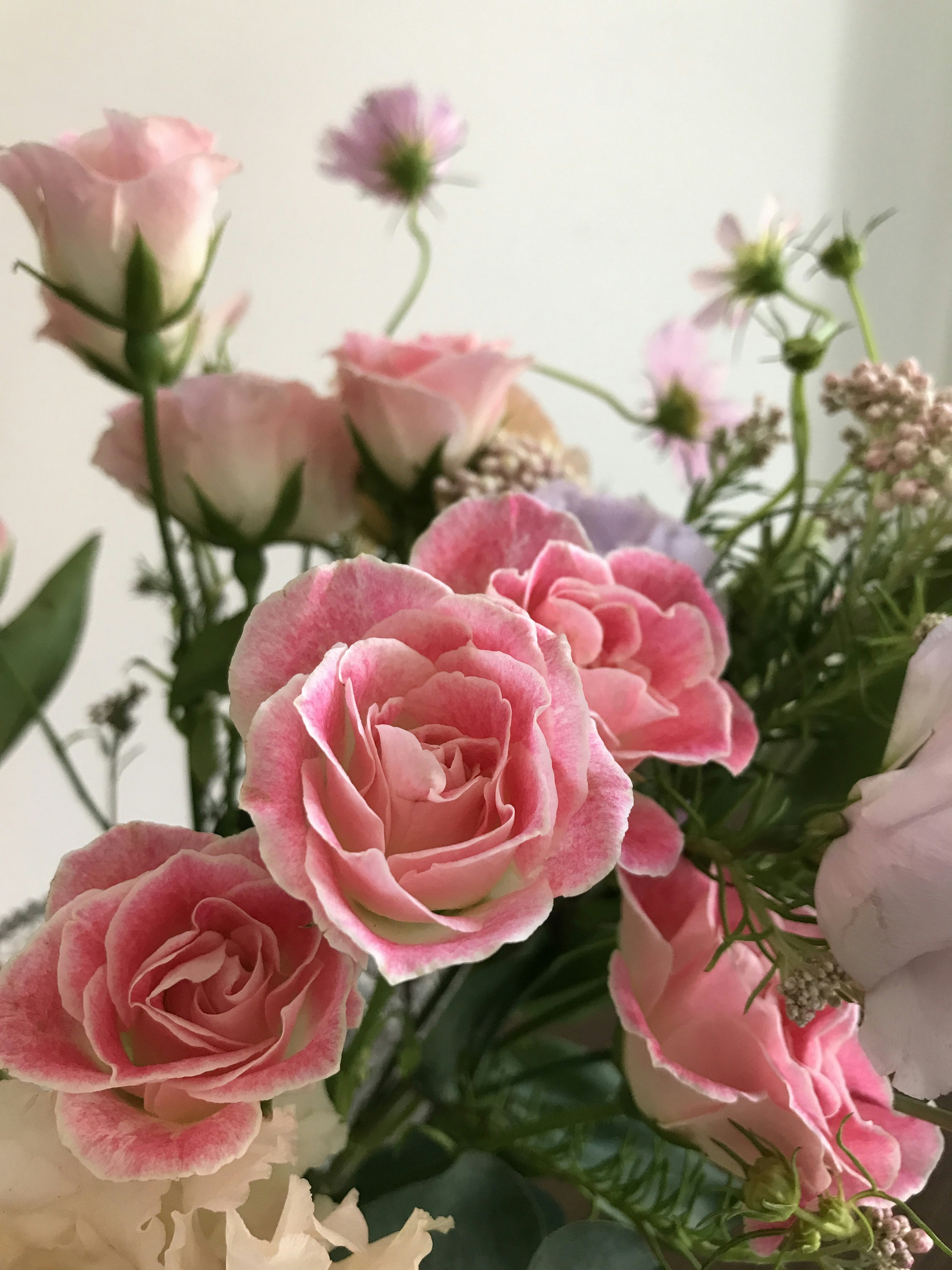 Photo by eriko_takahashi