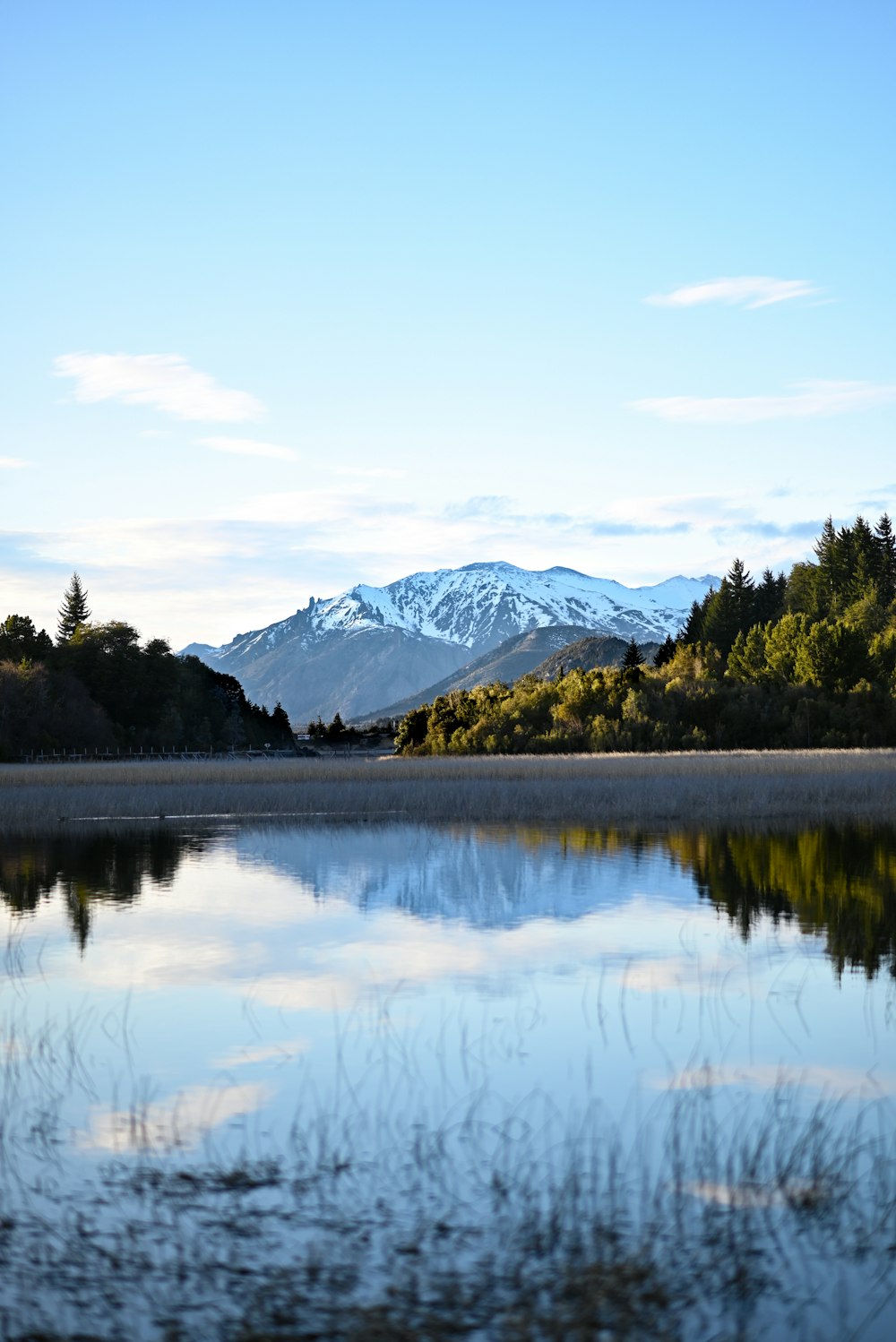 a lake with trees and mountains in the background