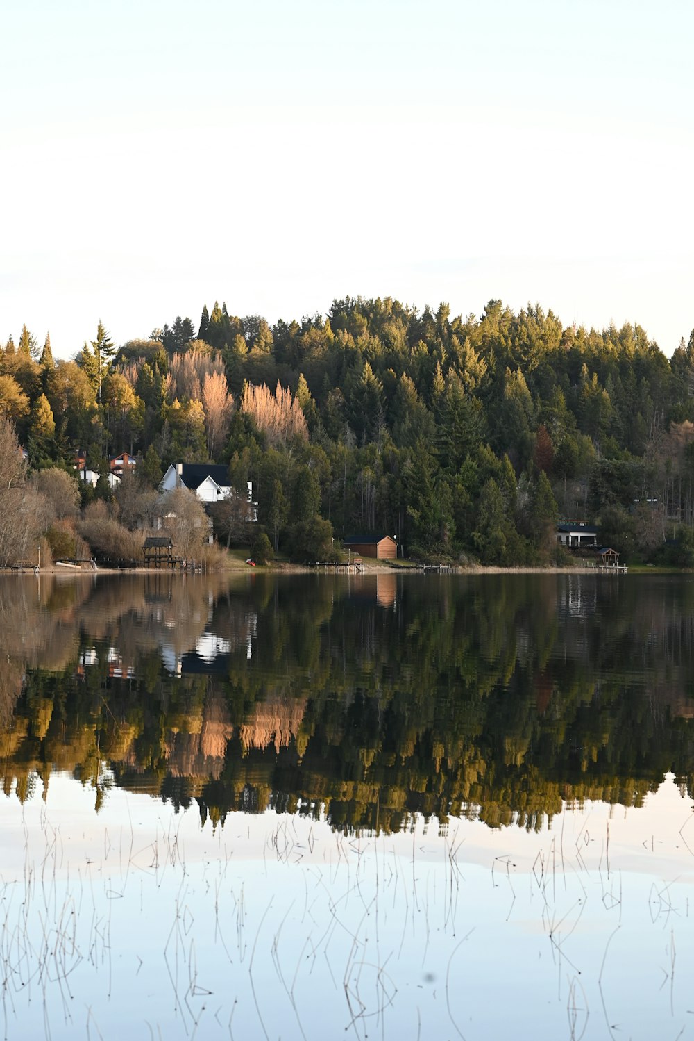 a lake with trees around it