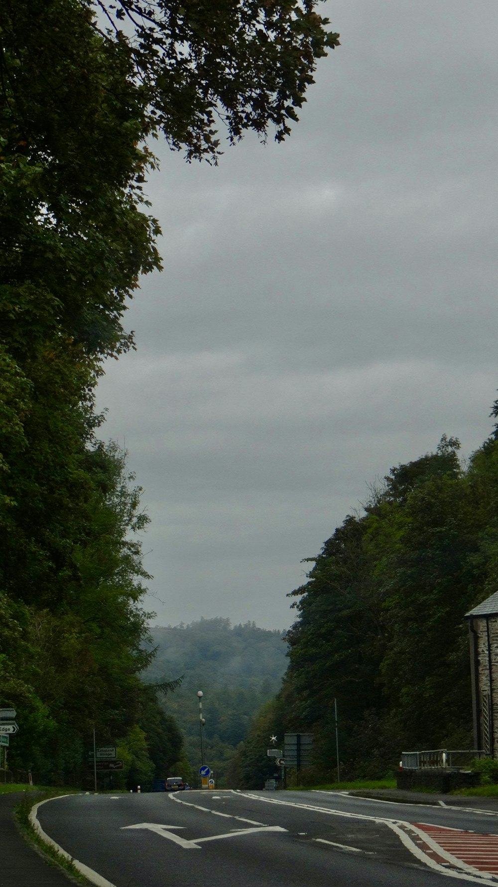 a road with trees on the side